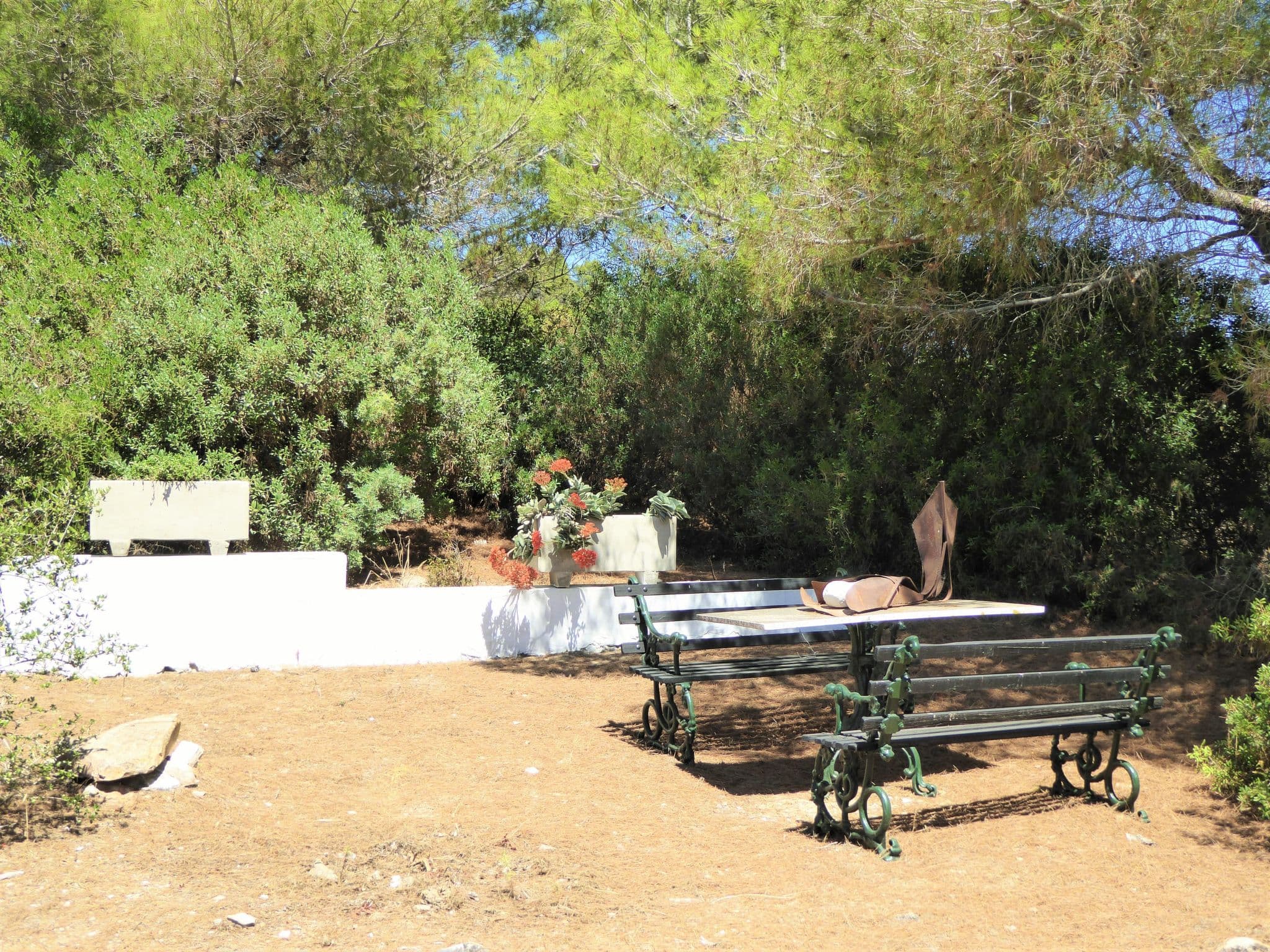 Gallery Image 13