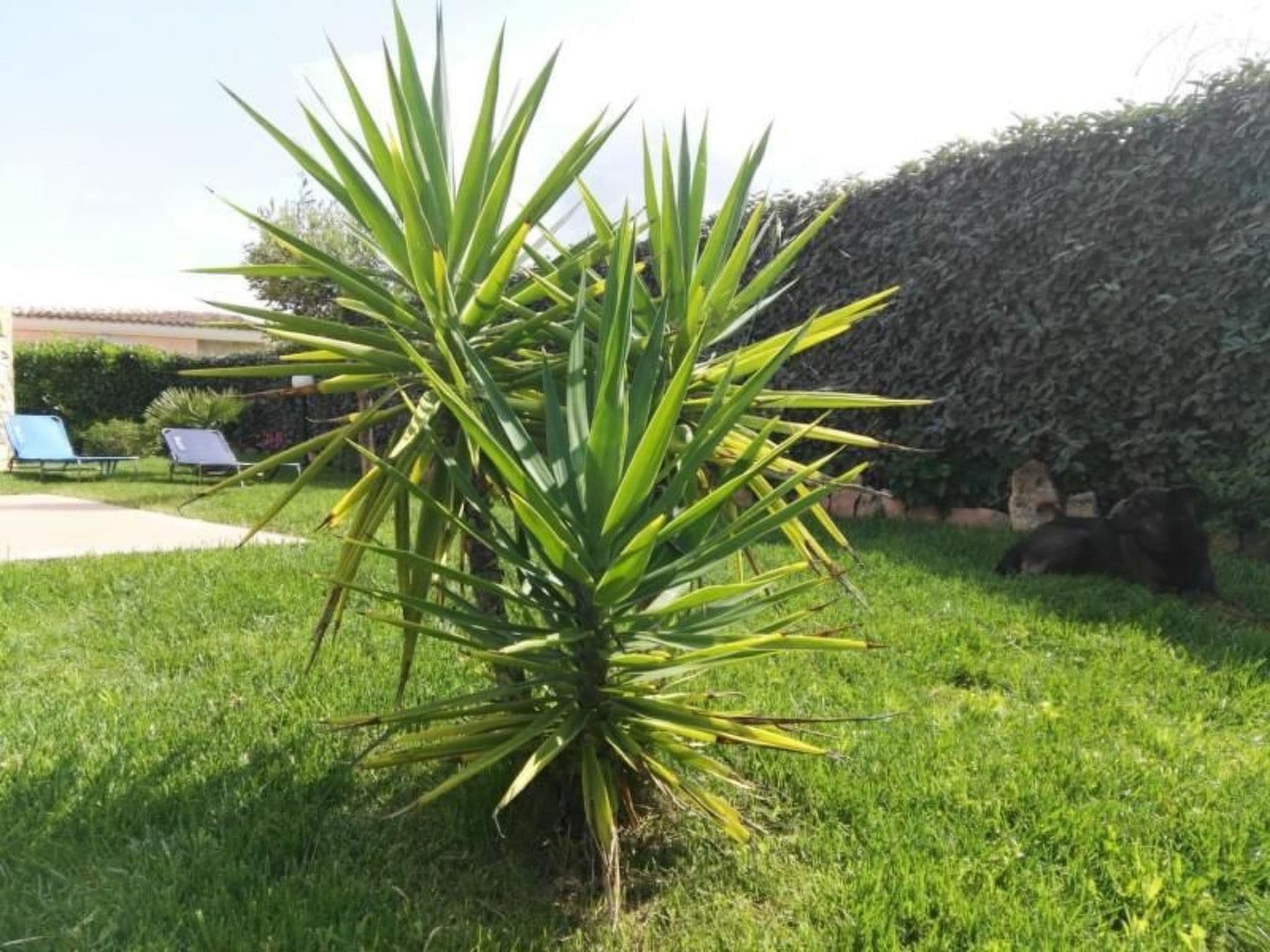 Gallery Image 29