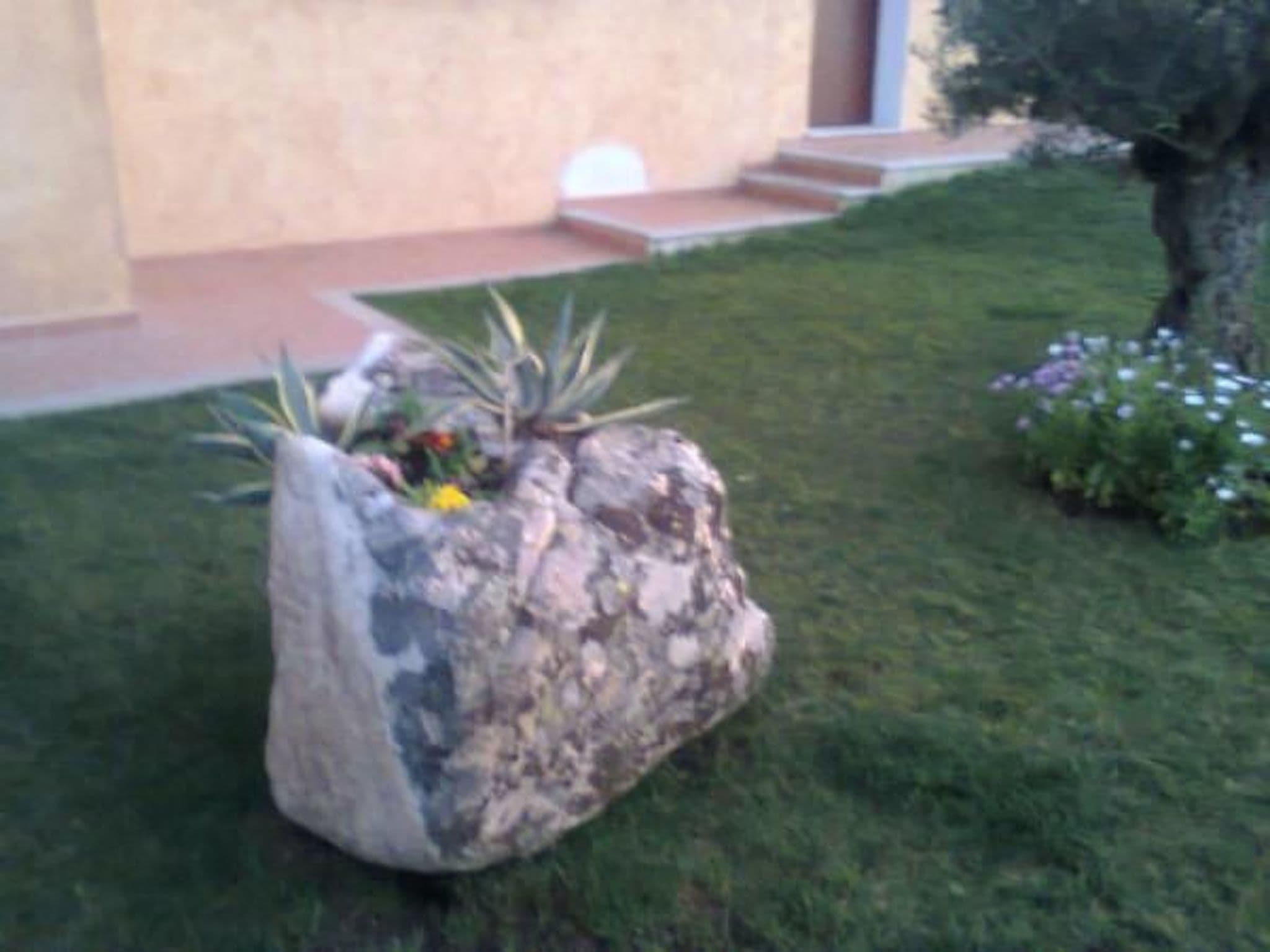 Gallery Image 26