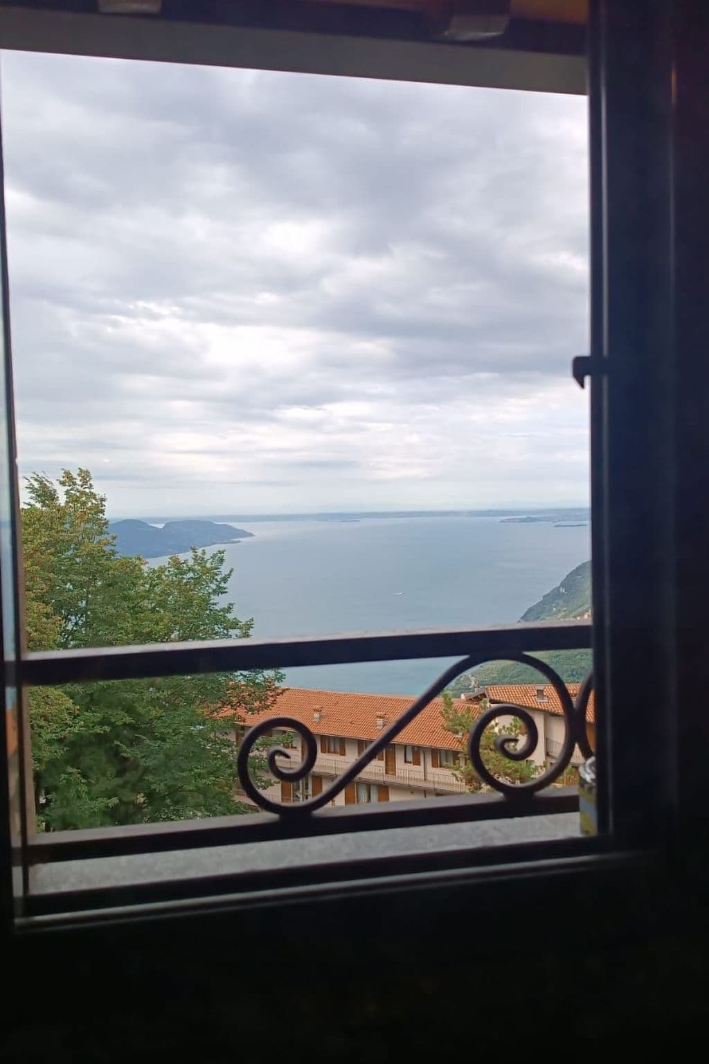 Gallery Image 41