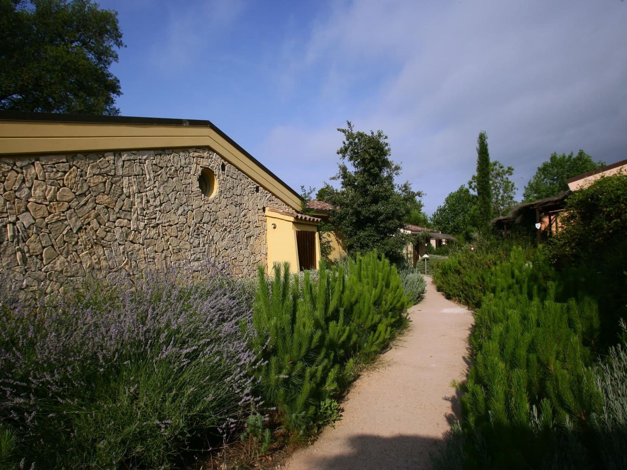Gallery Image 20