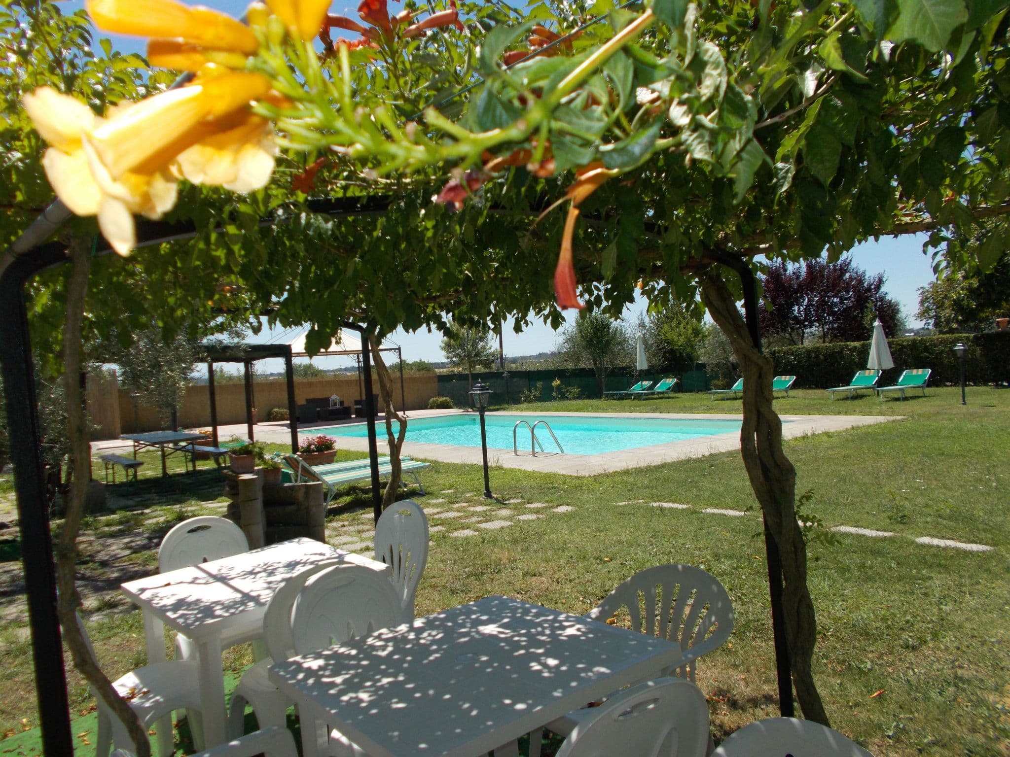 Pool Outdoor