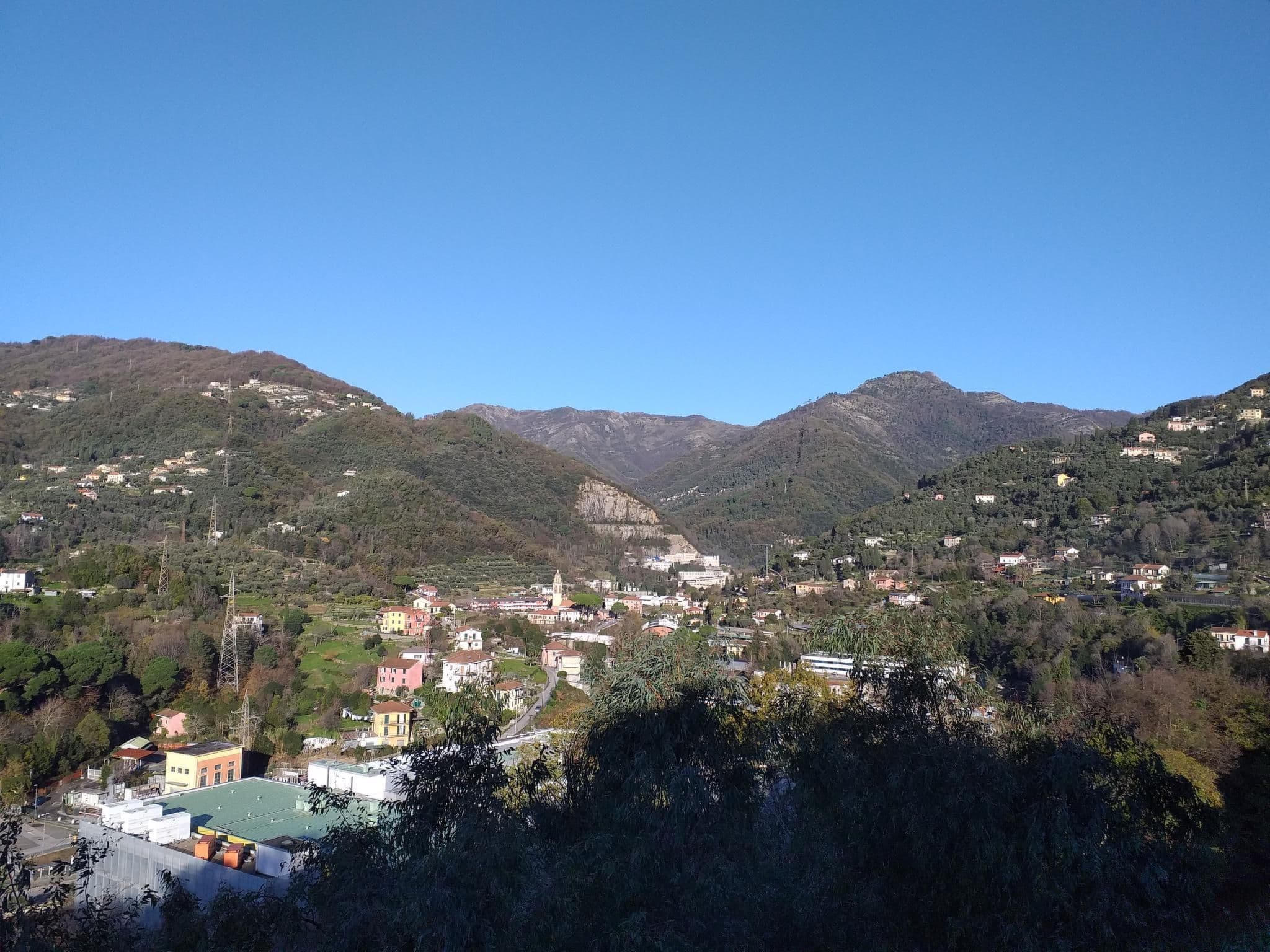 Gallery Image 16