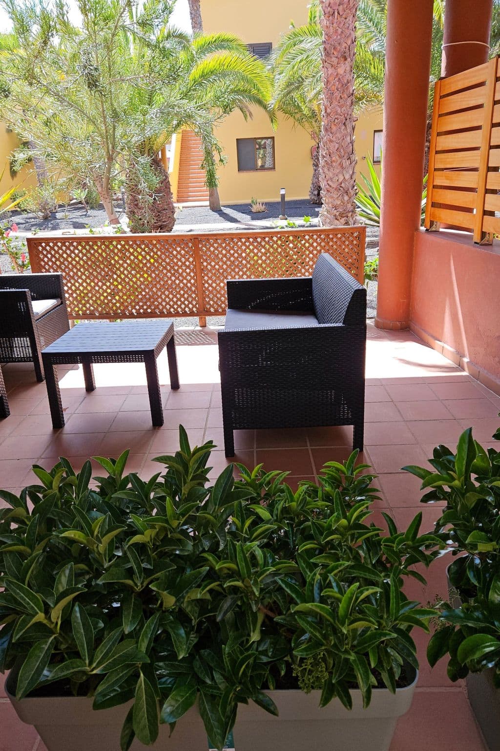 Terrace