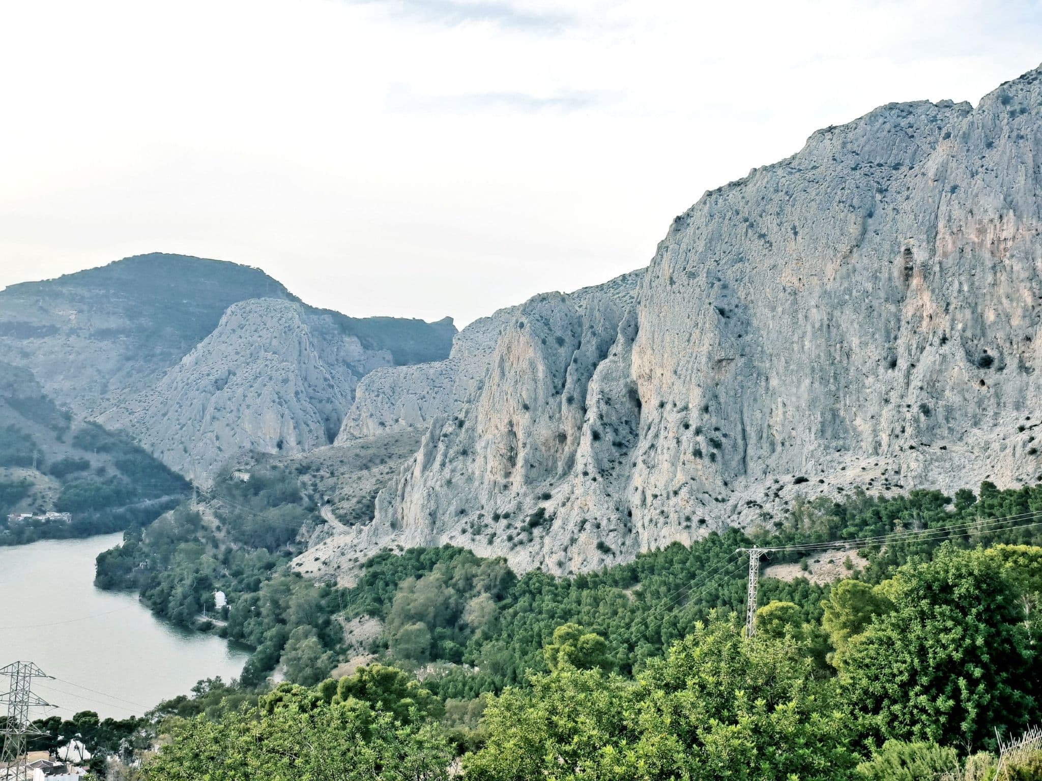 Gallery Image 56