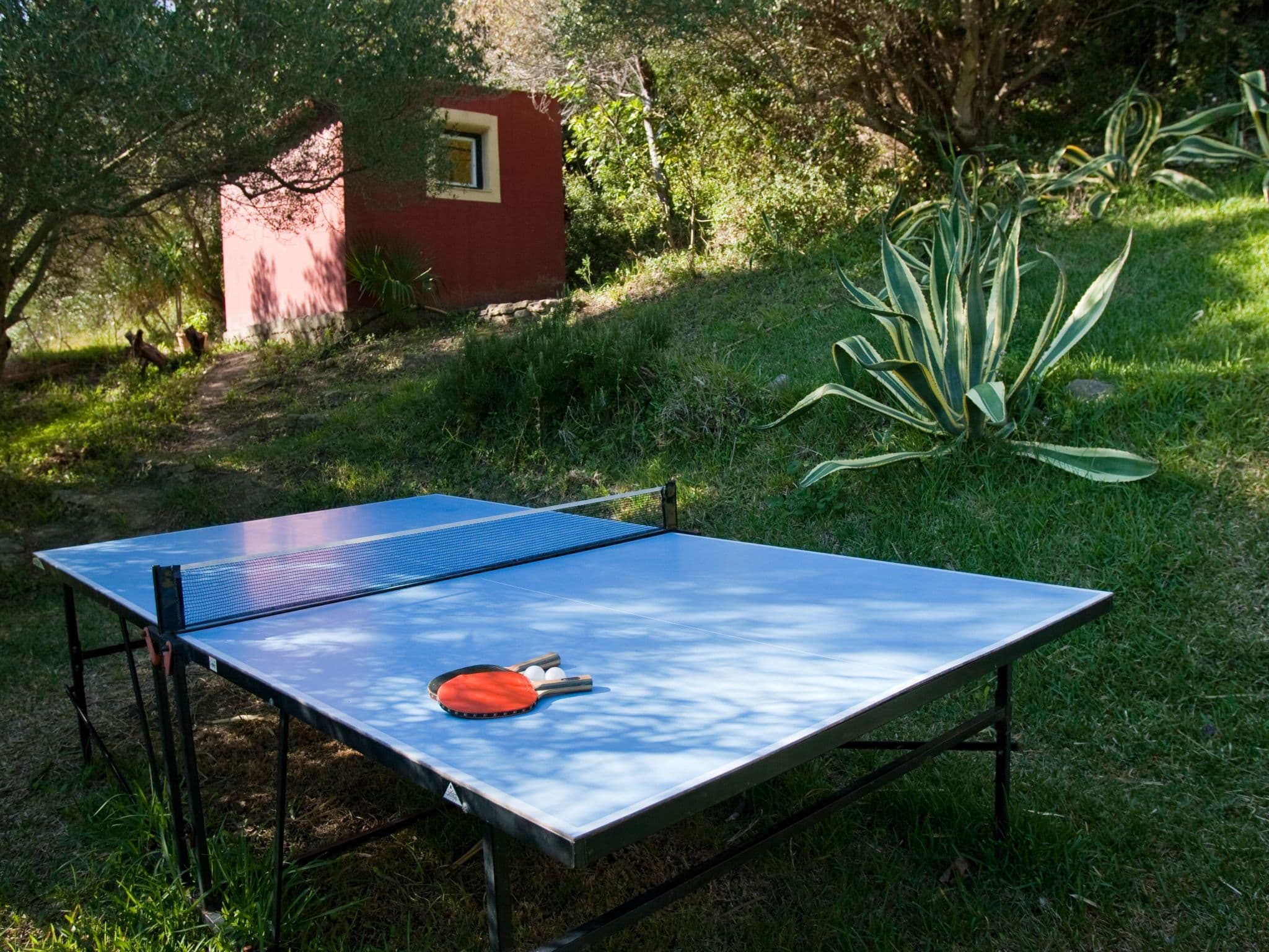 Gallery Image 12