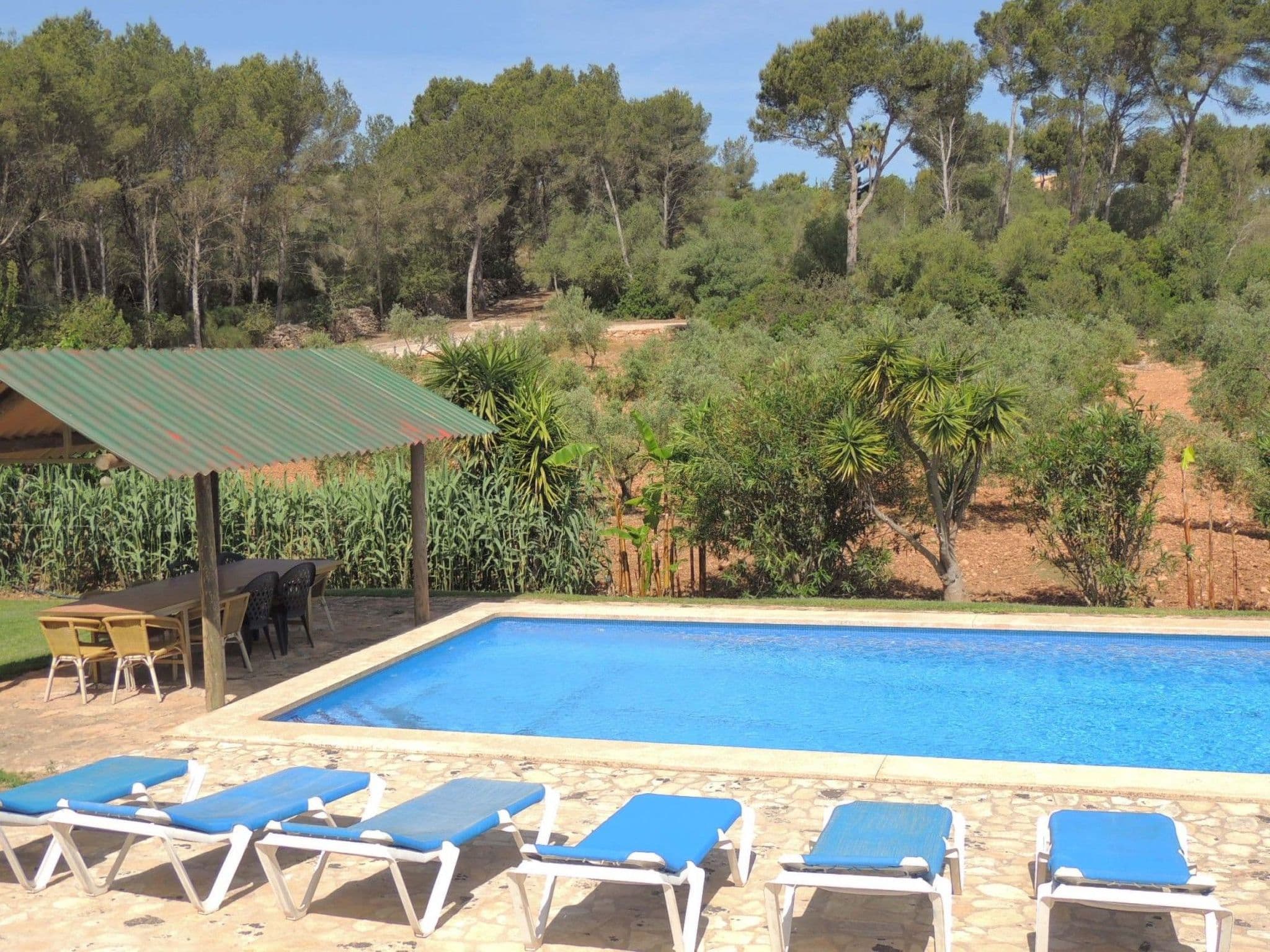 Pool Outdoor