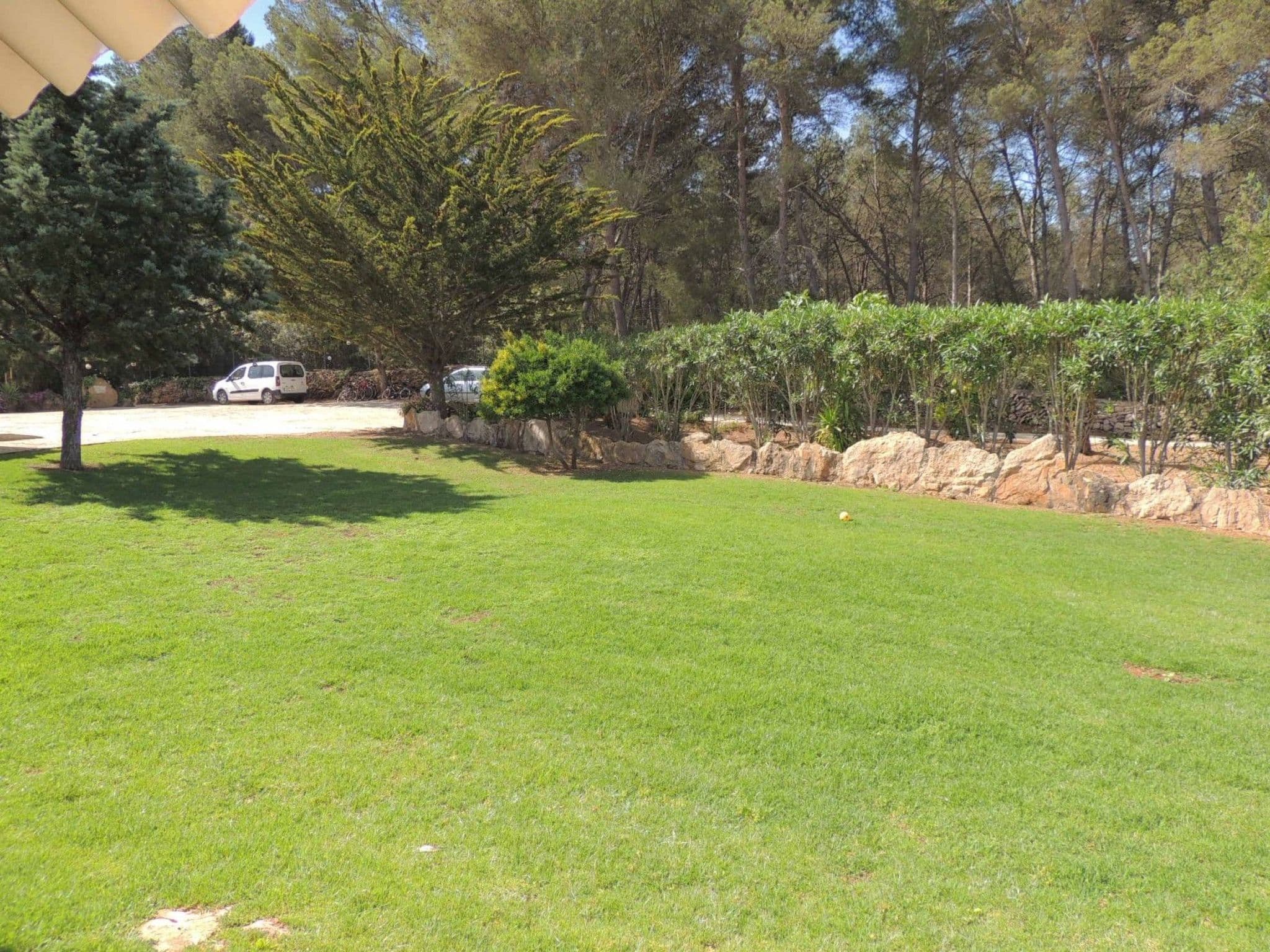 Gallery Image 13