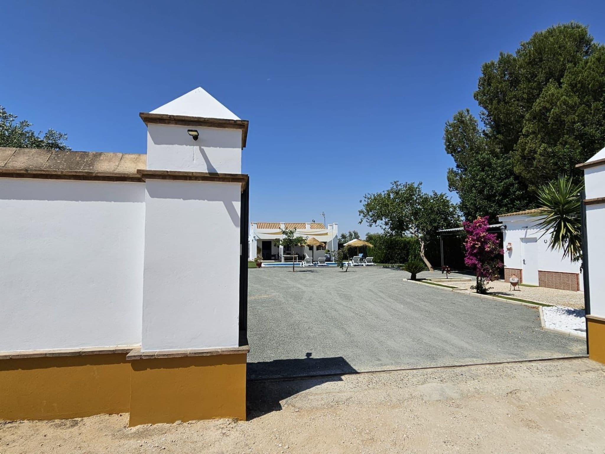 Gallery Image 37