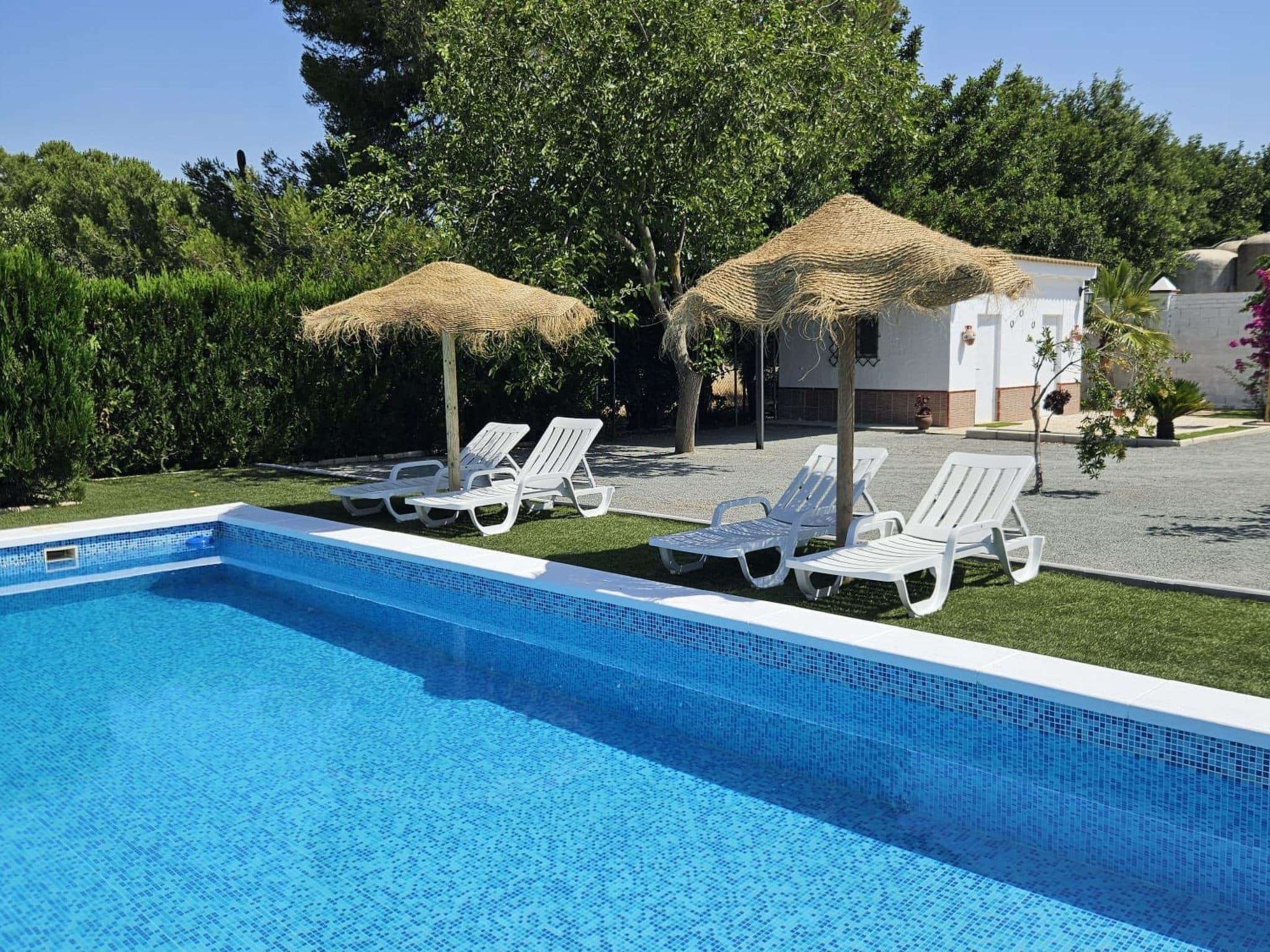 Pool Outdoor