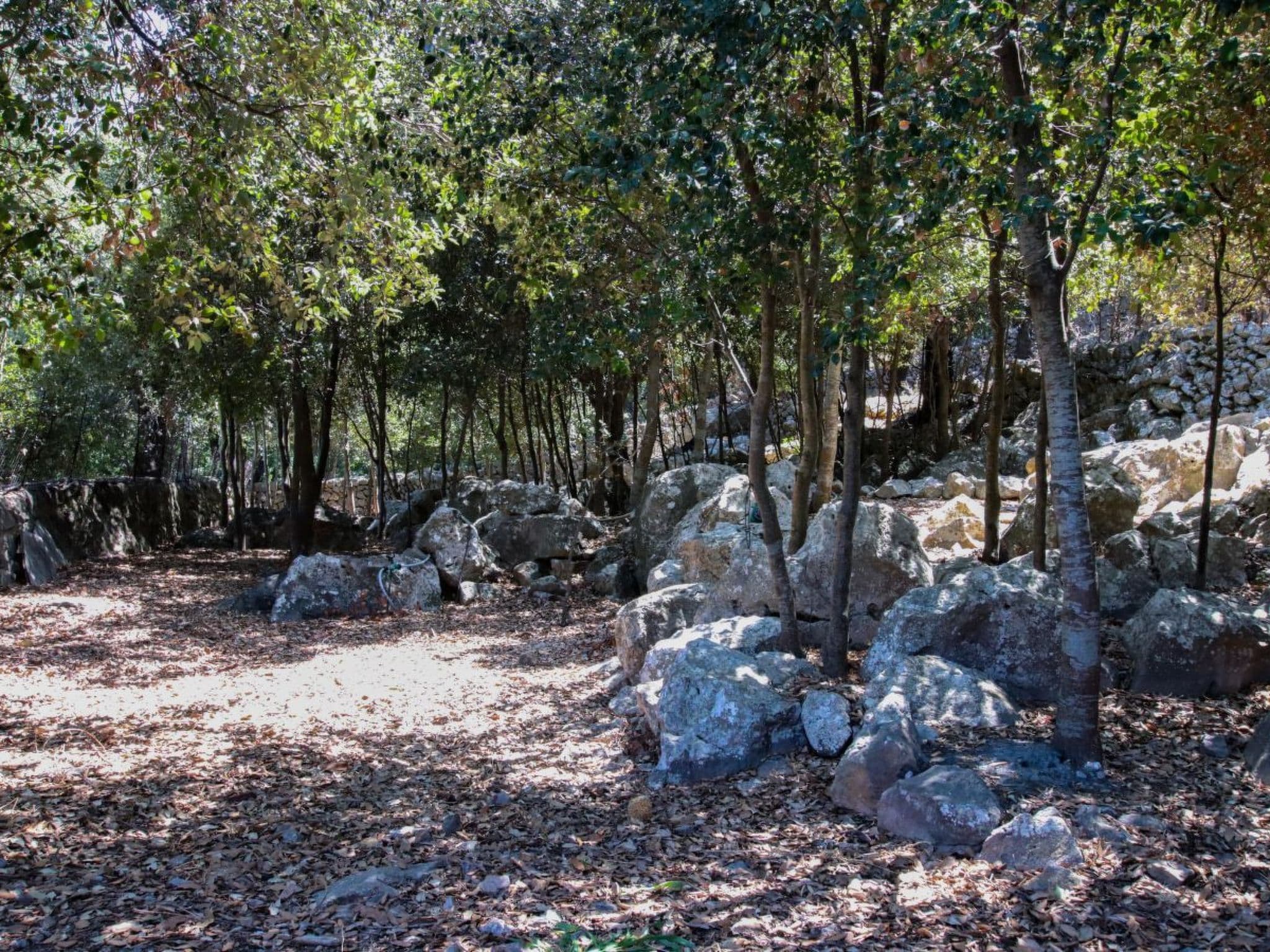 Gallery Image 37