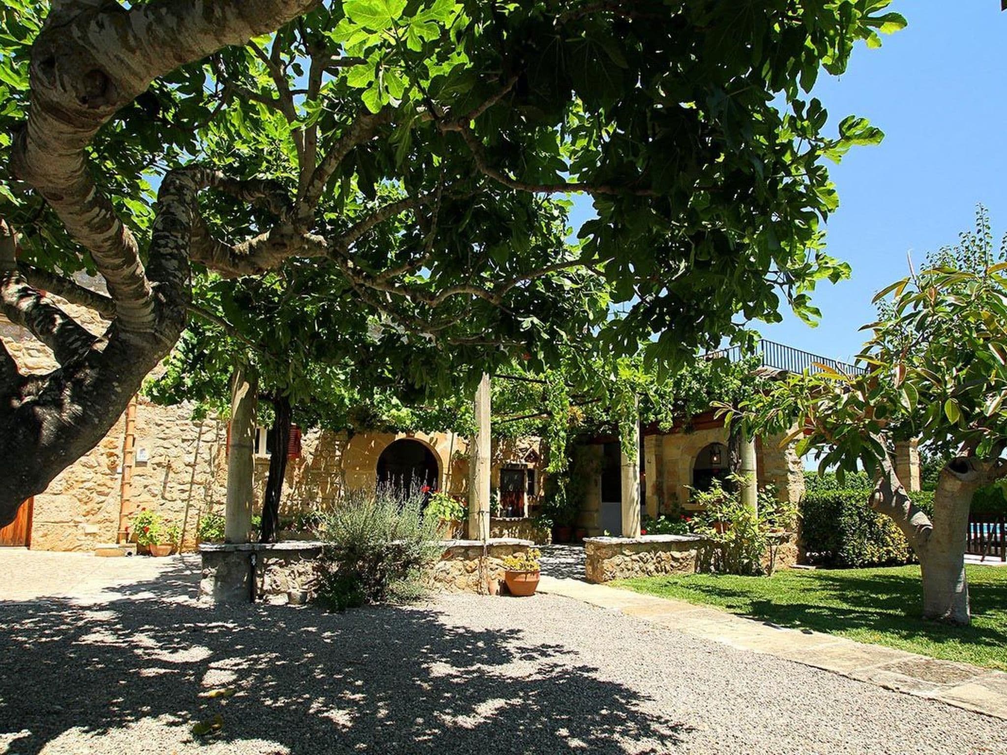 Gallery Image 57