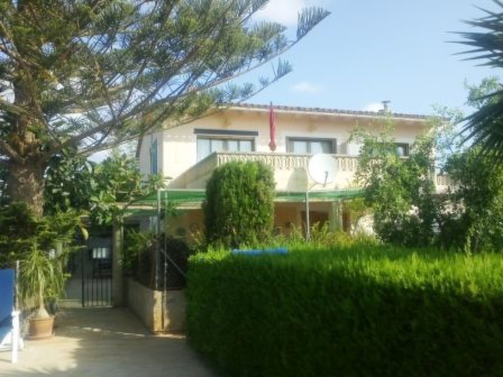 Gallery Image 41