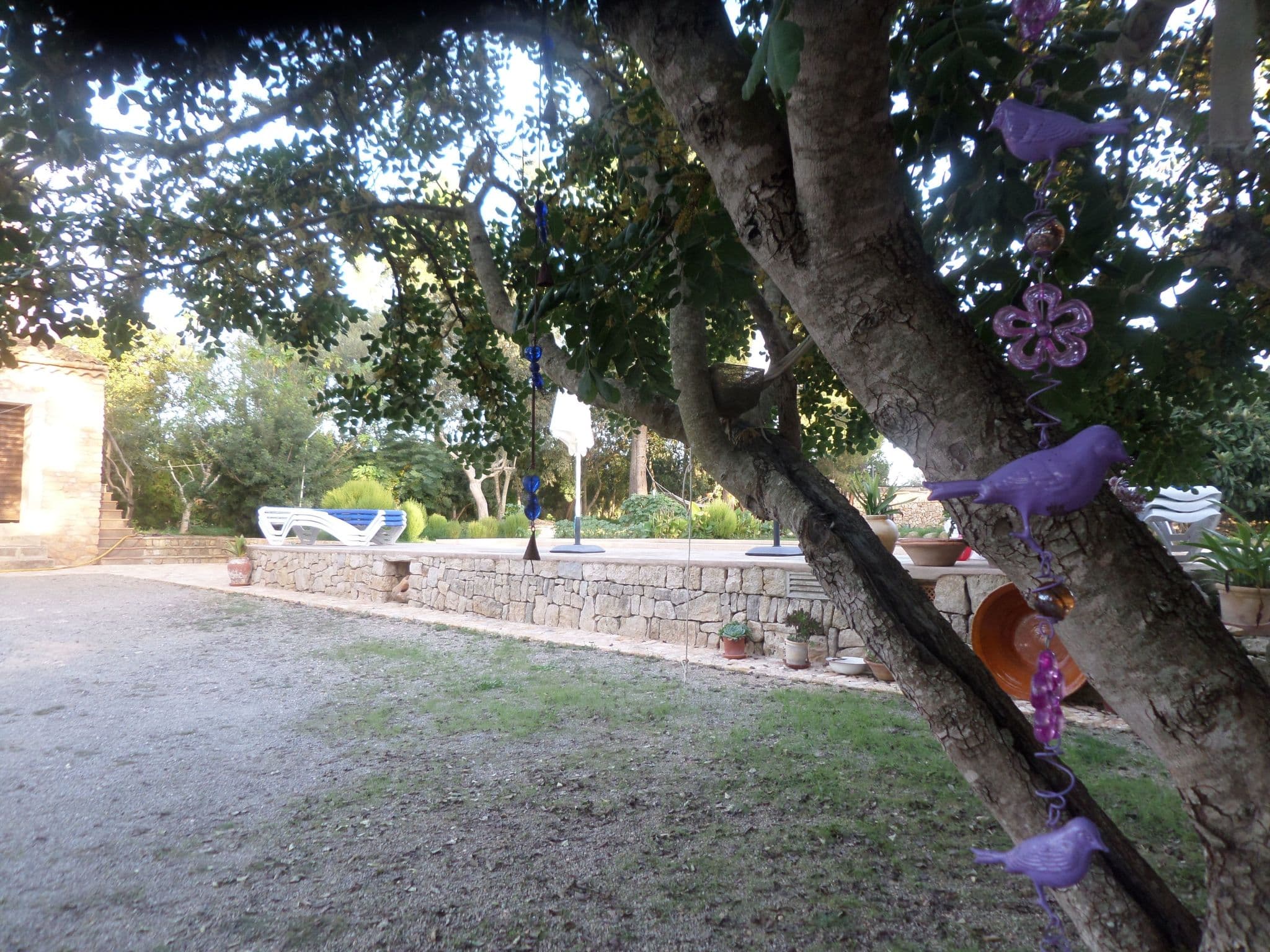 Gallery Image 38