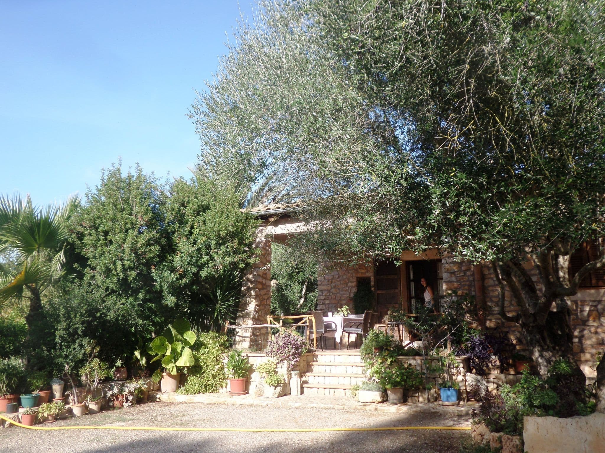 Gallery Image 13