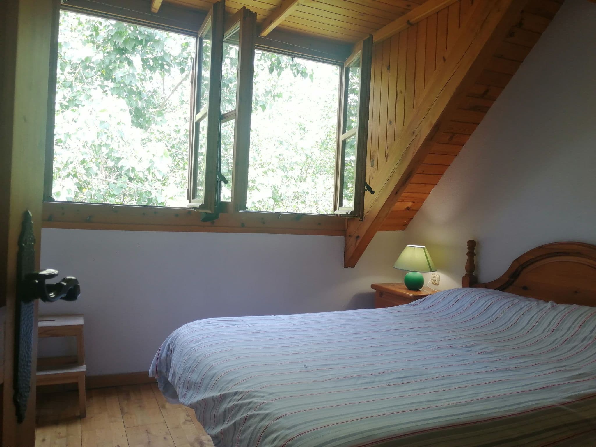 Gallery Image 7