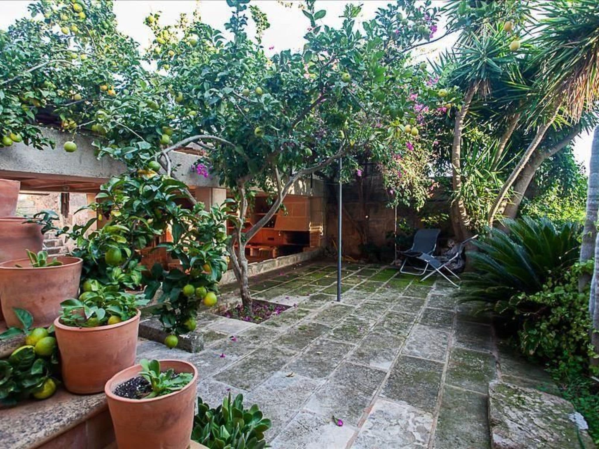 Gallery Image 13
