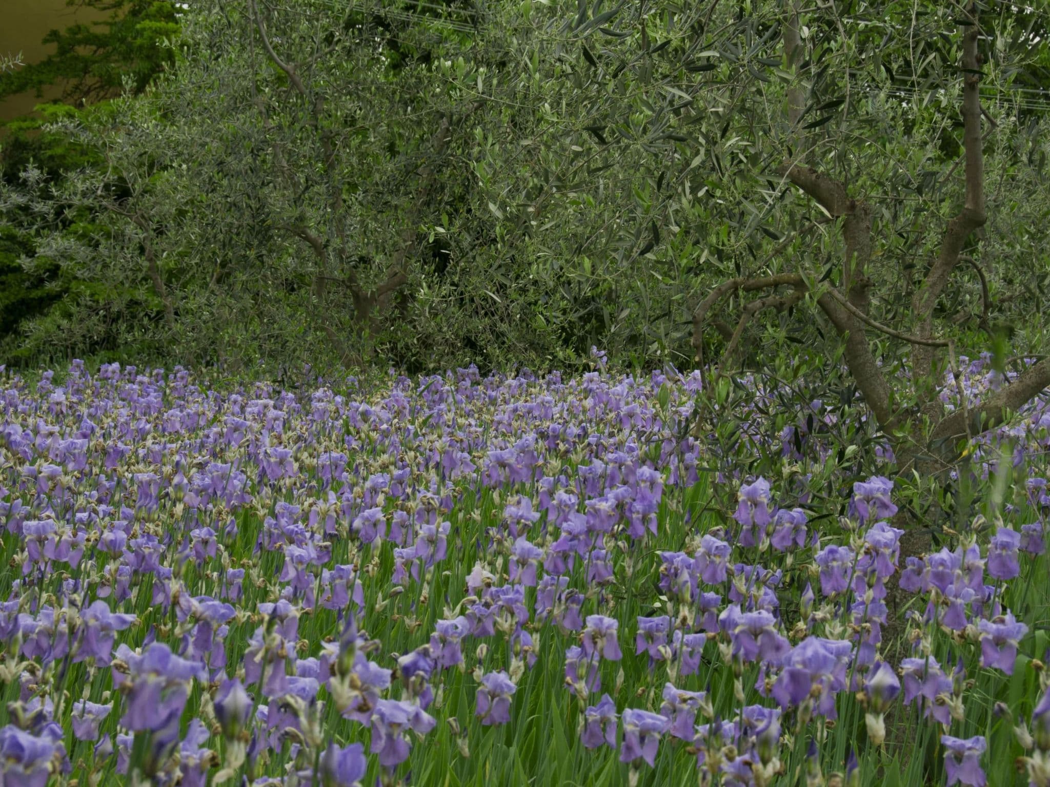 Gallery Image 21