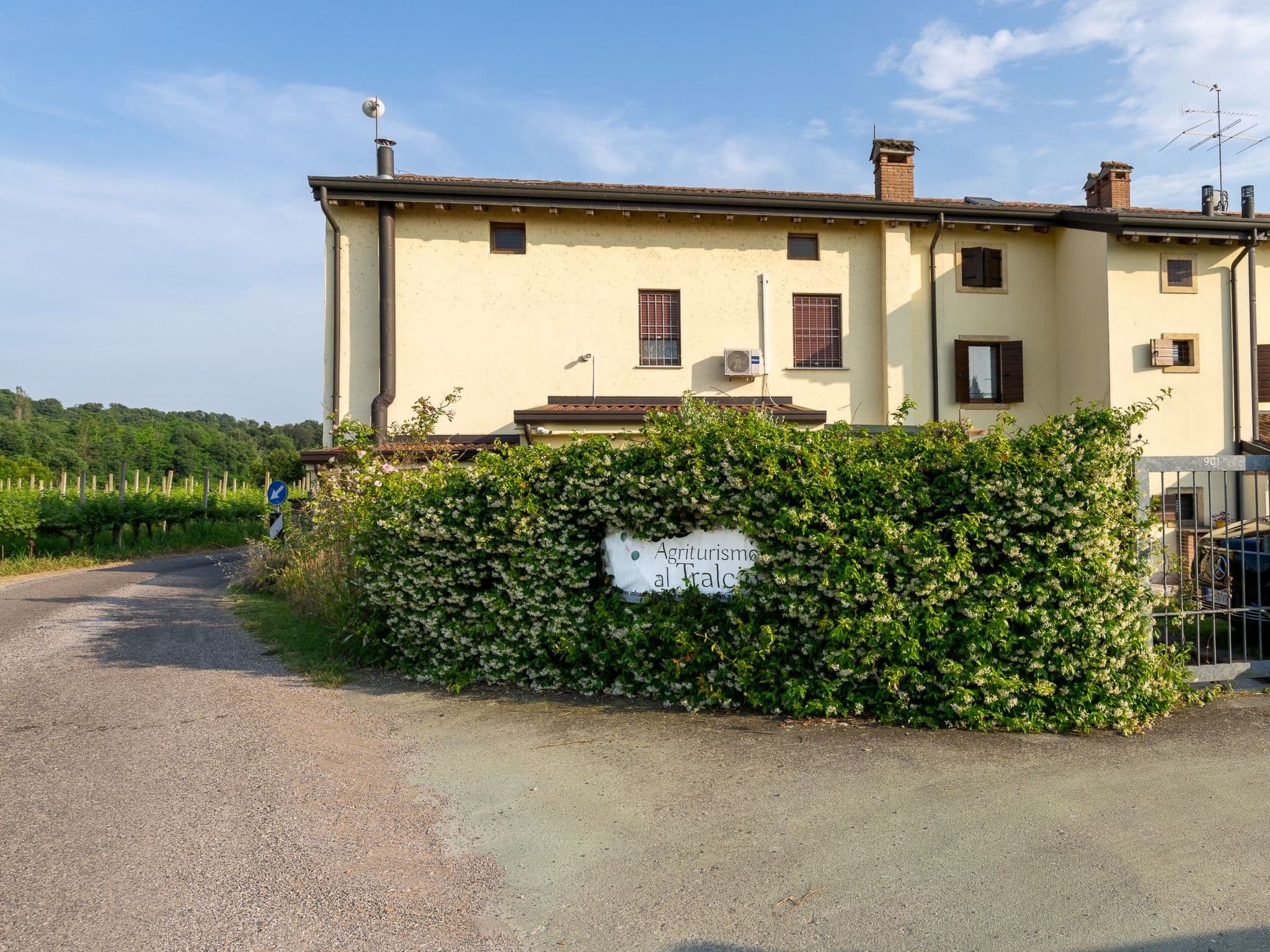 Gallery Image 15