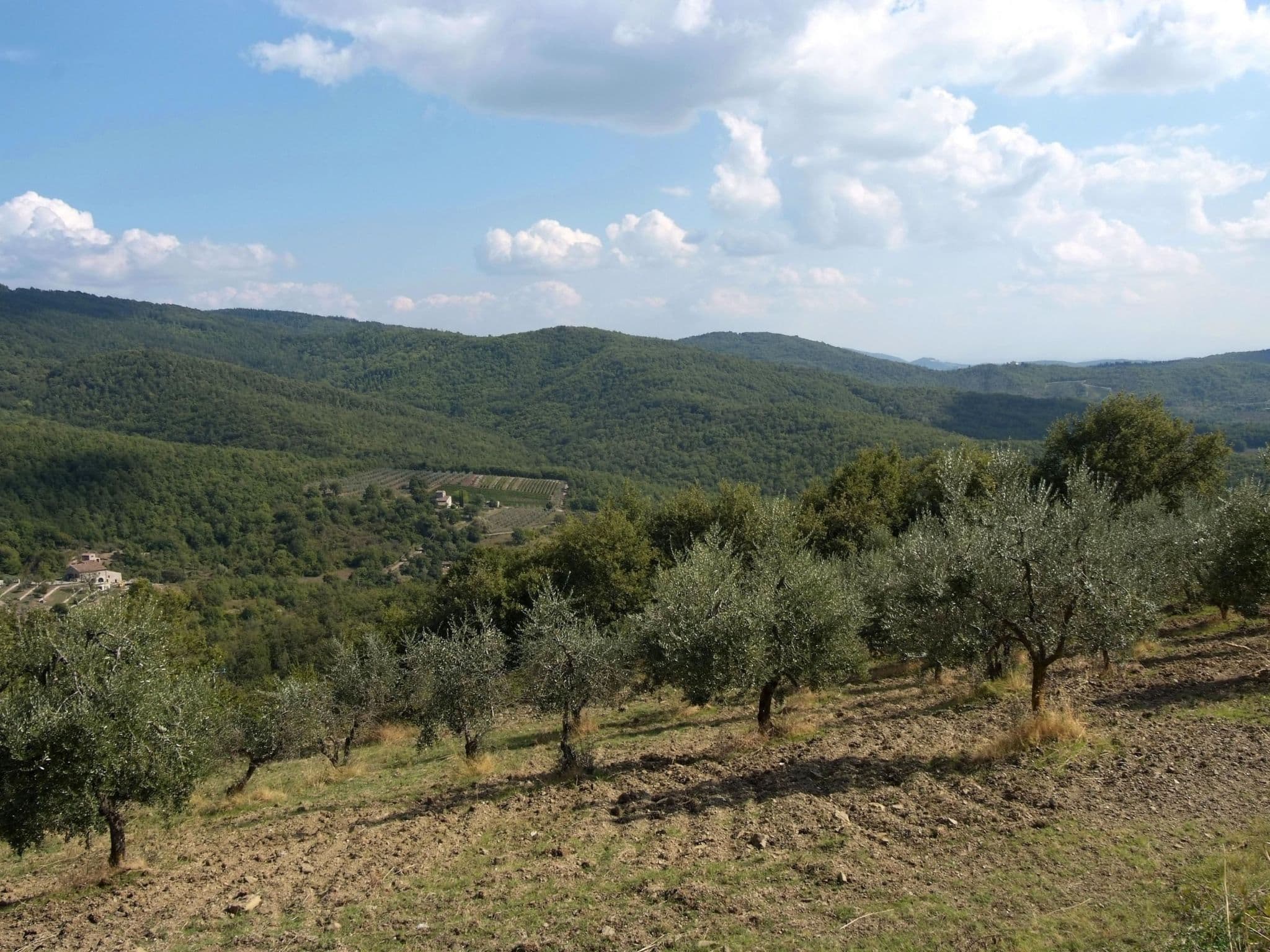 Gallery Image 29