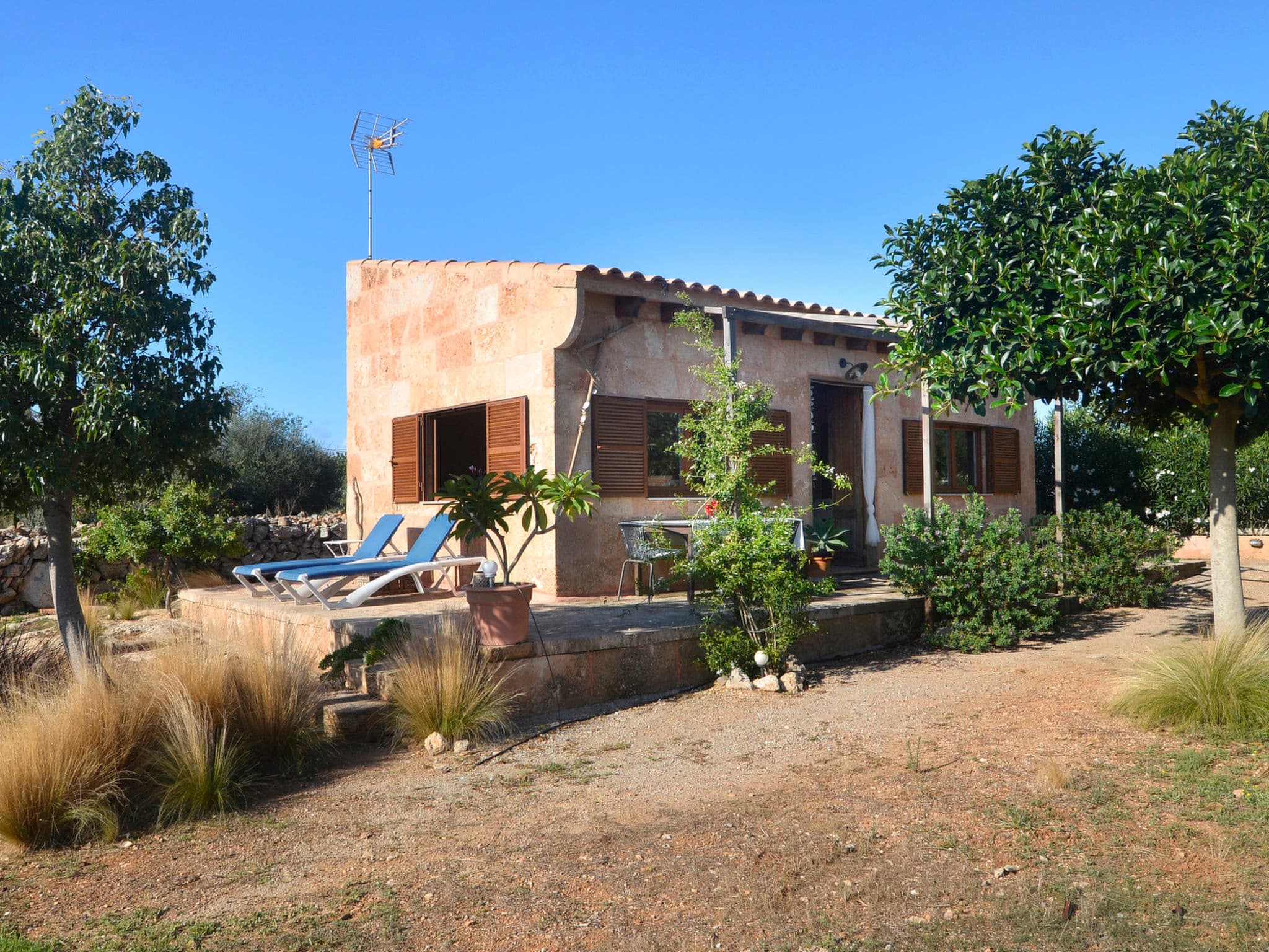 Gallery Image 10