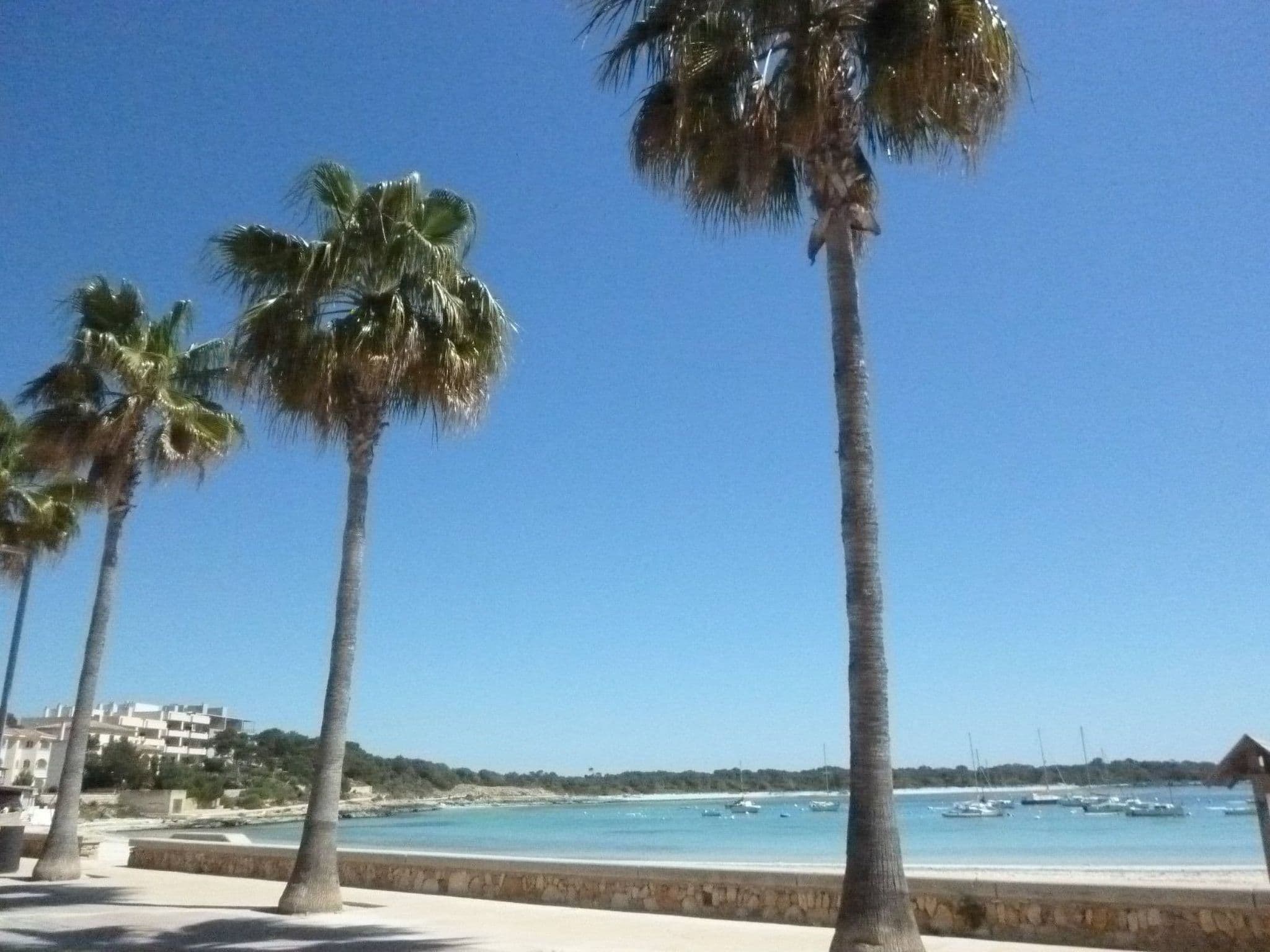 Gallery Image 26