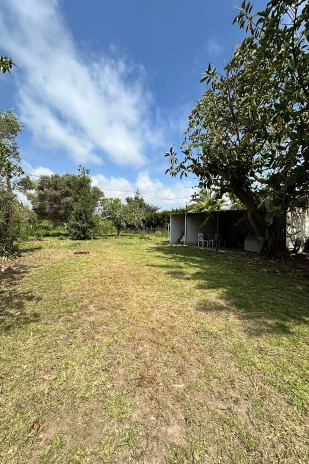 Gallery Image 18