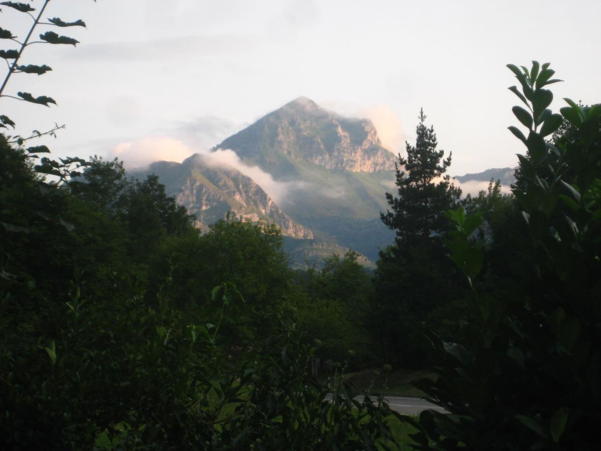 Gallery Image 30