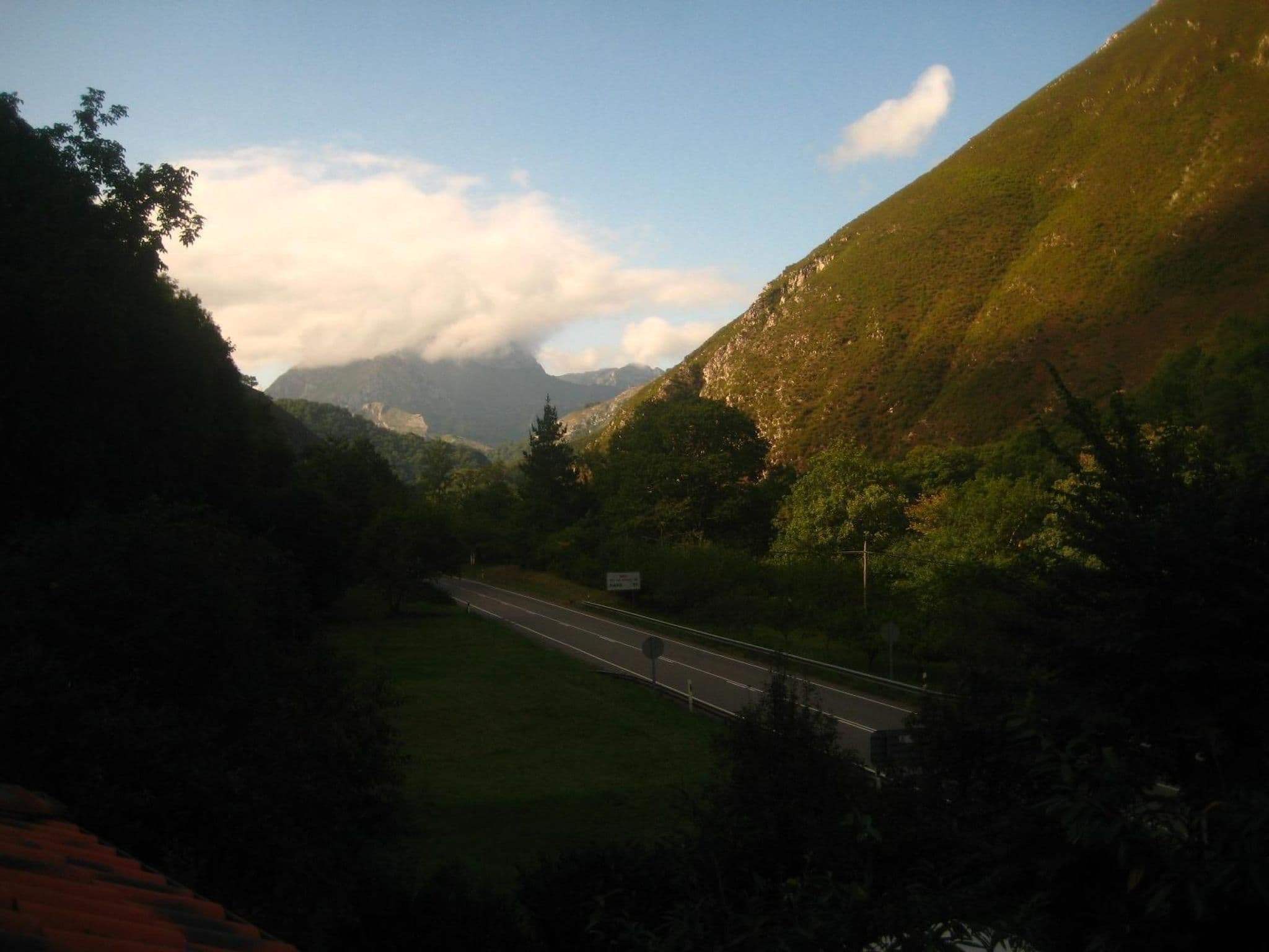 View