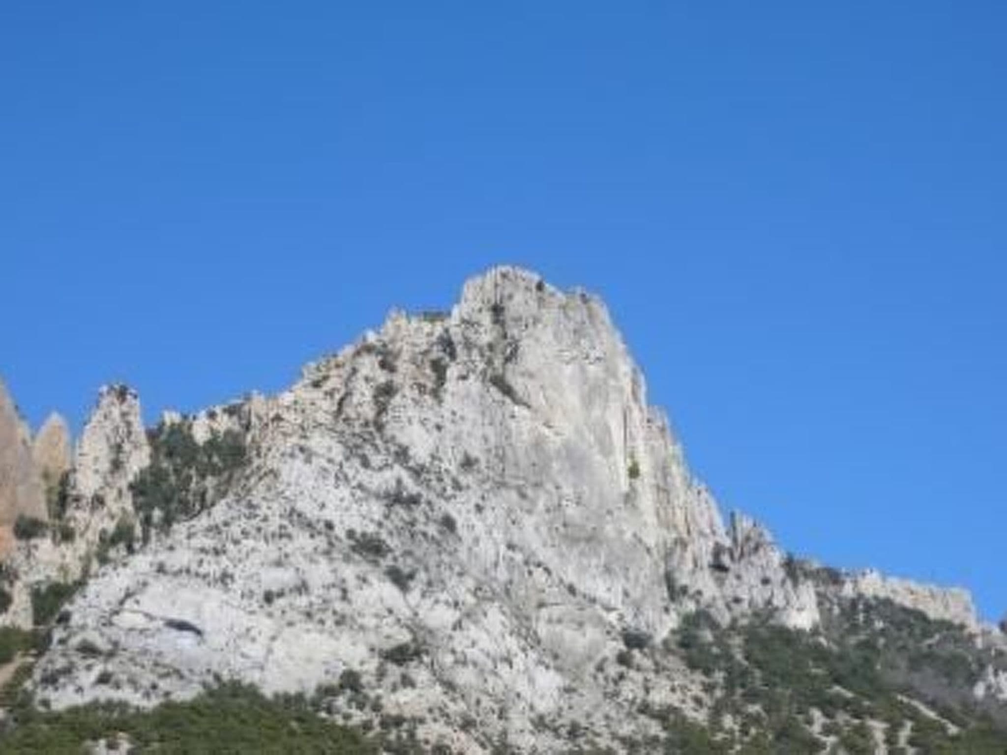 Gallery Image 27