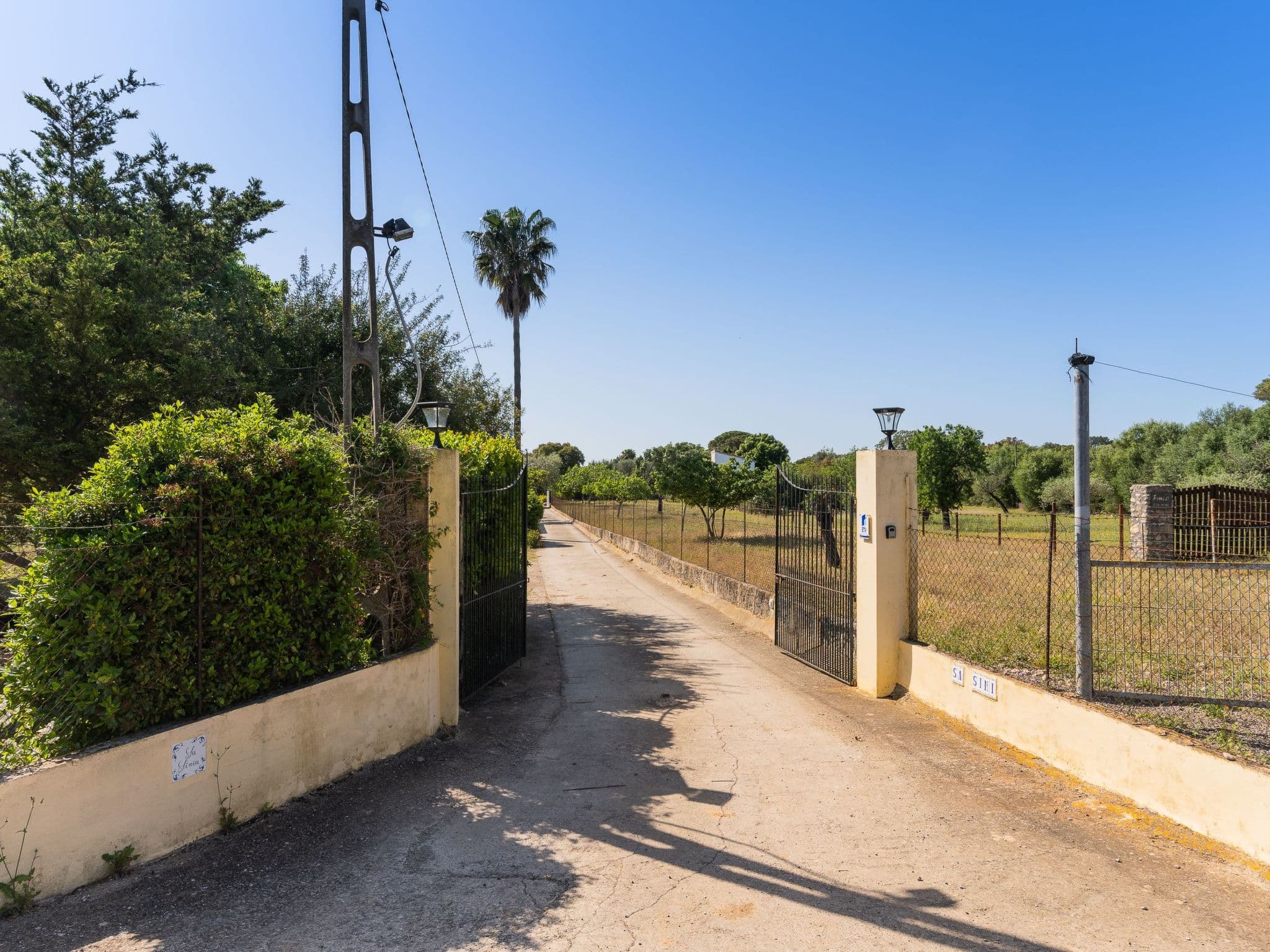 Gallery Image 39