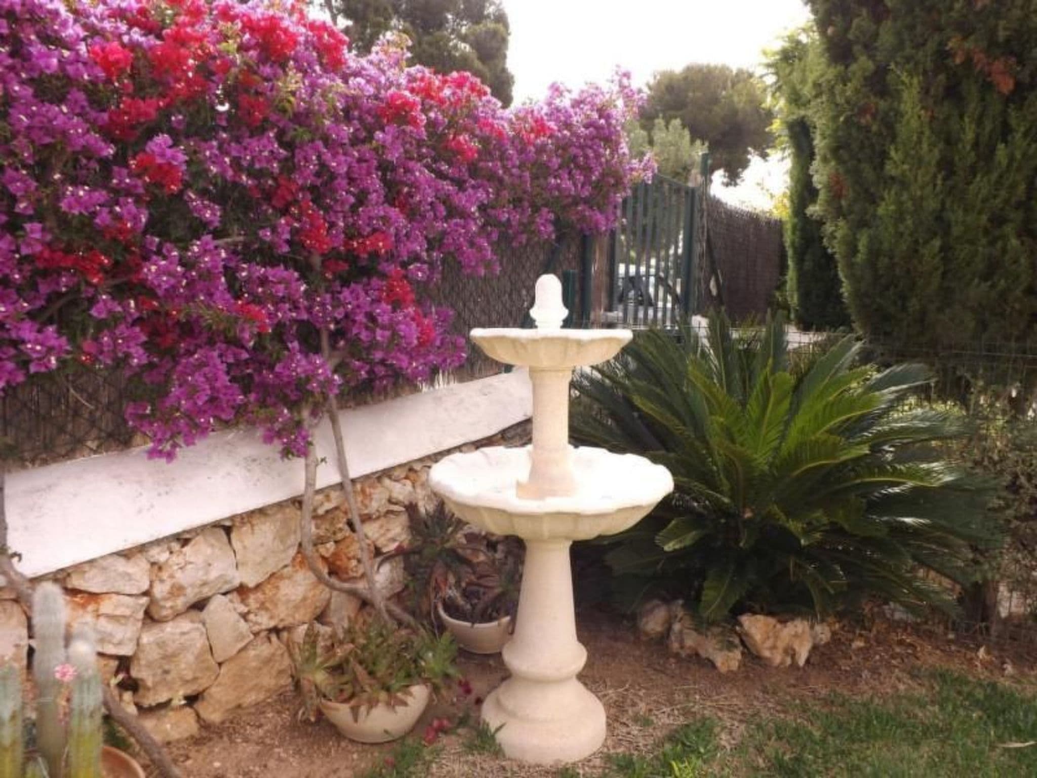 Gallery Image 29