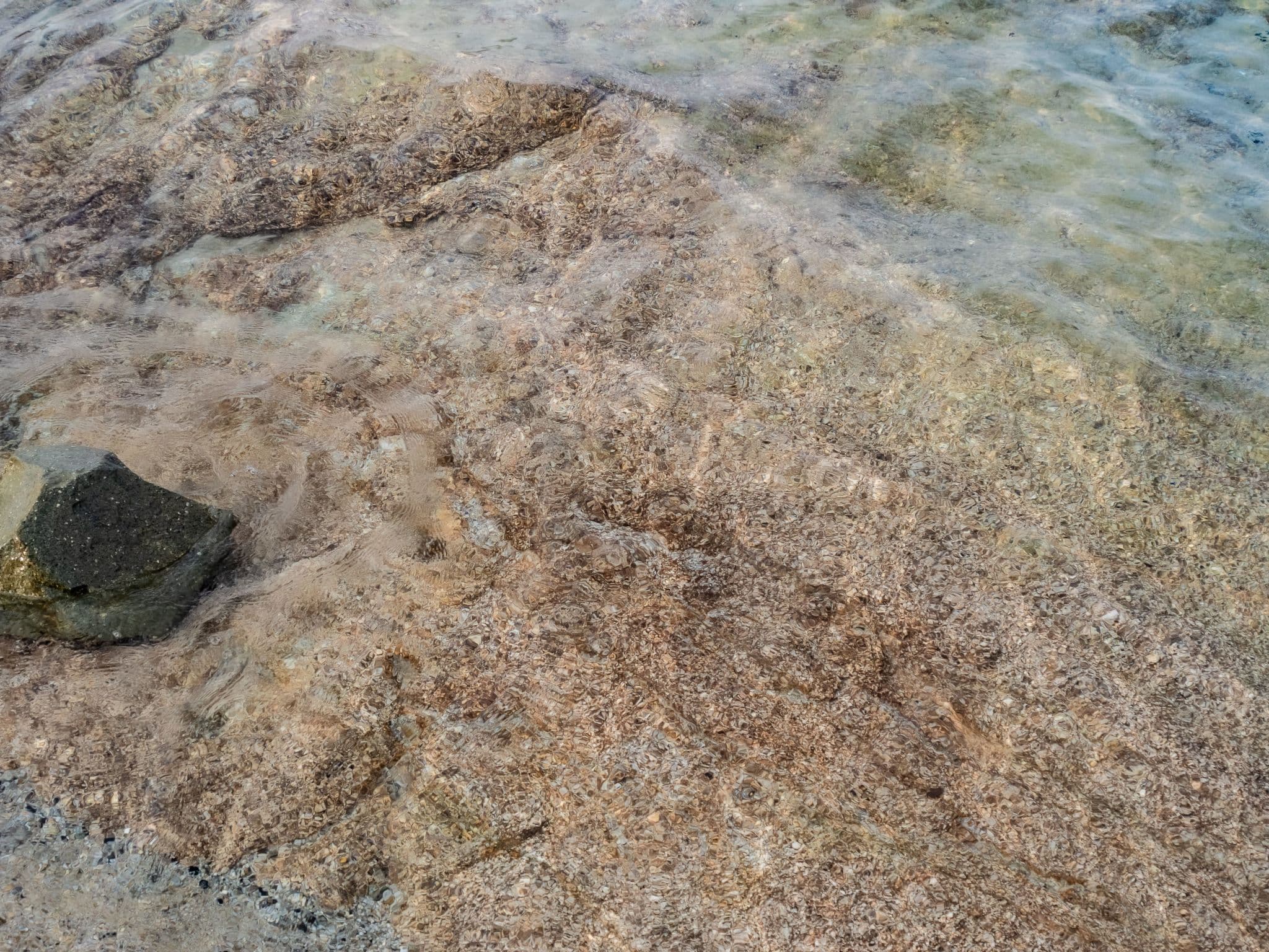 Gallery Image 21