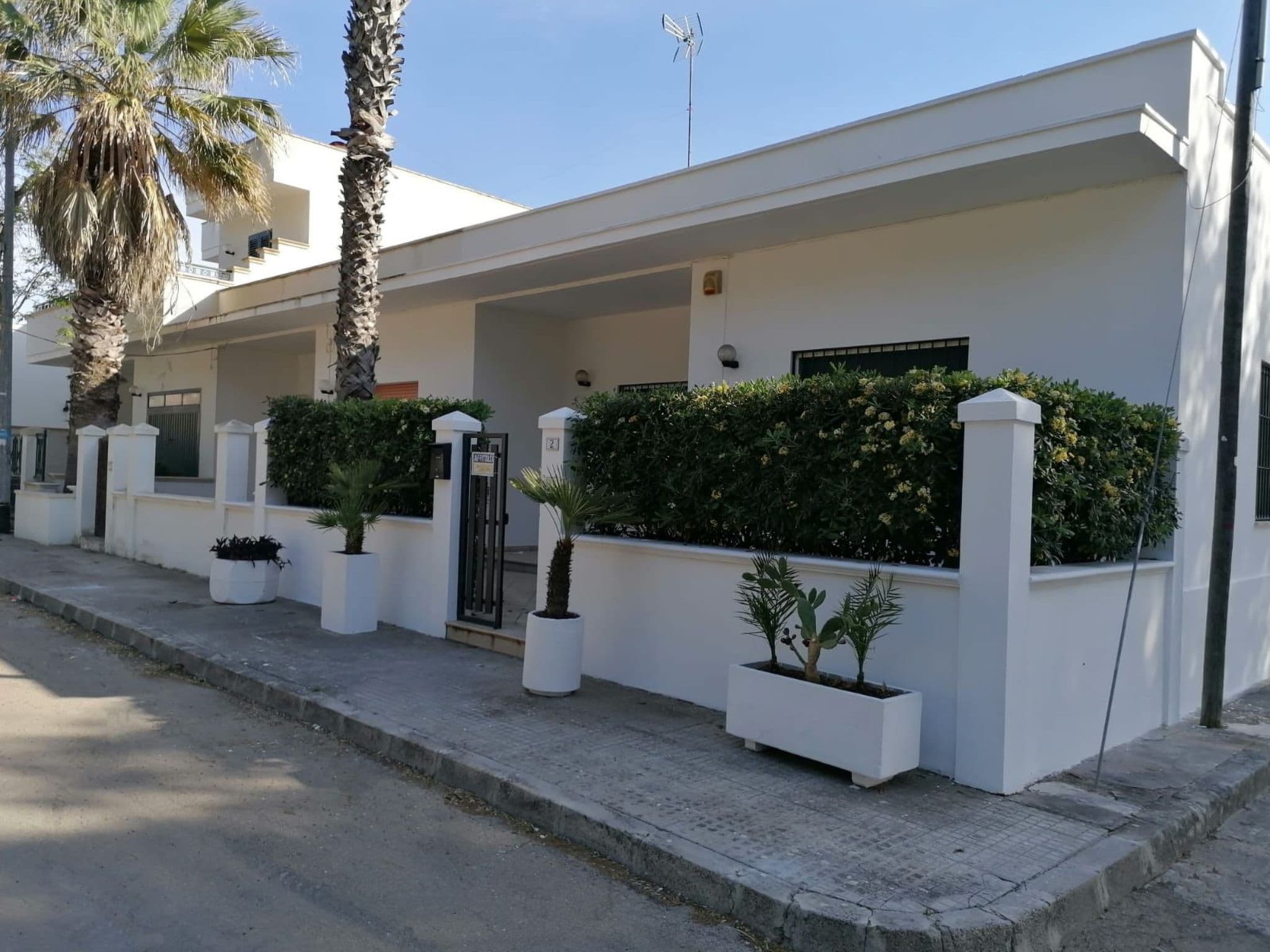 Gallery Image 19