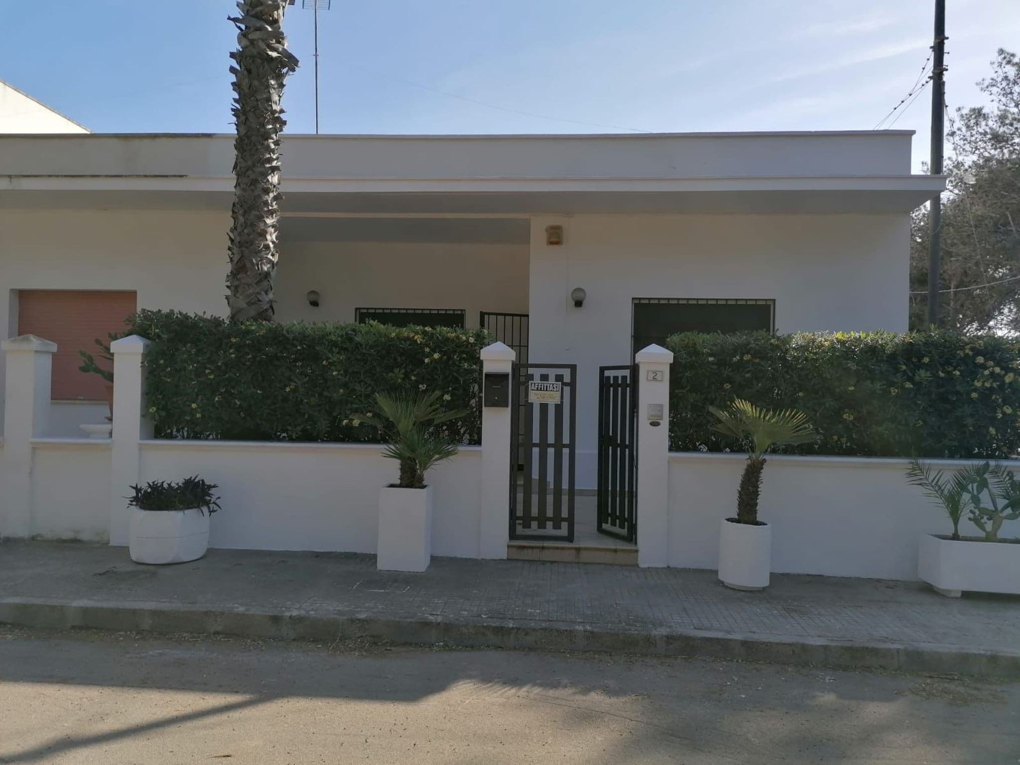 Gallery Image 20