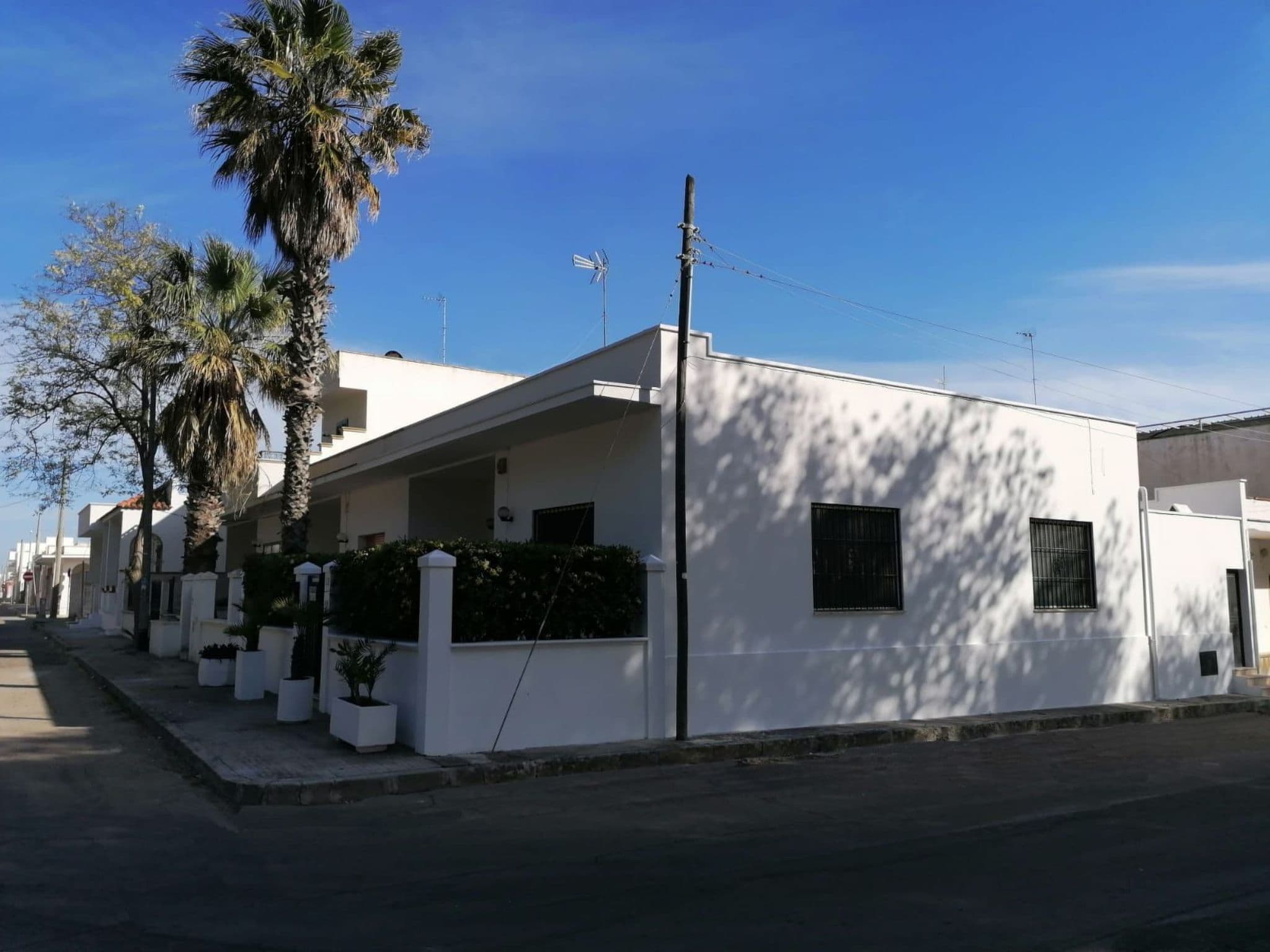 Gallery Image 21