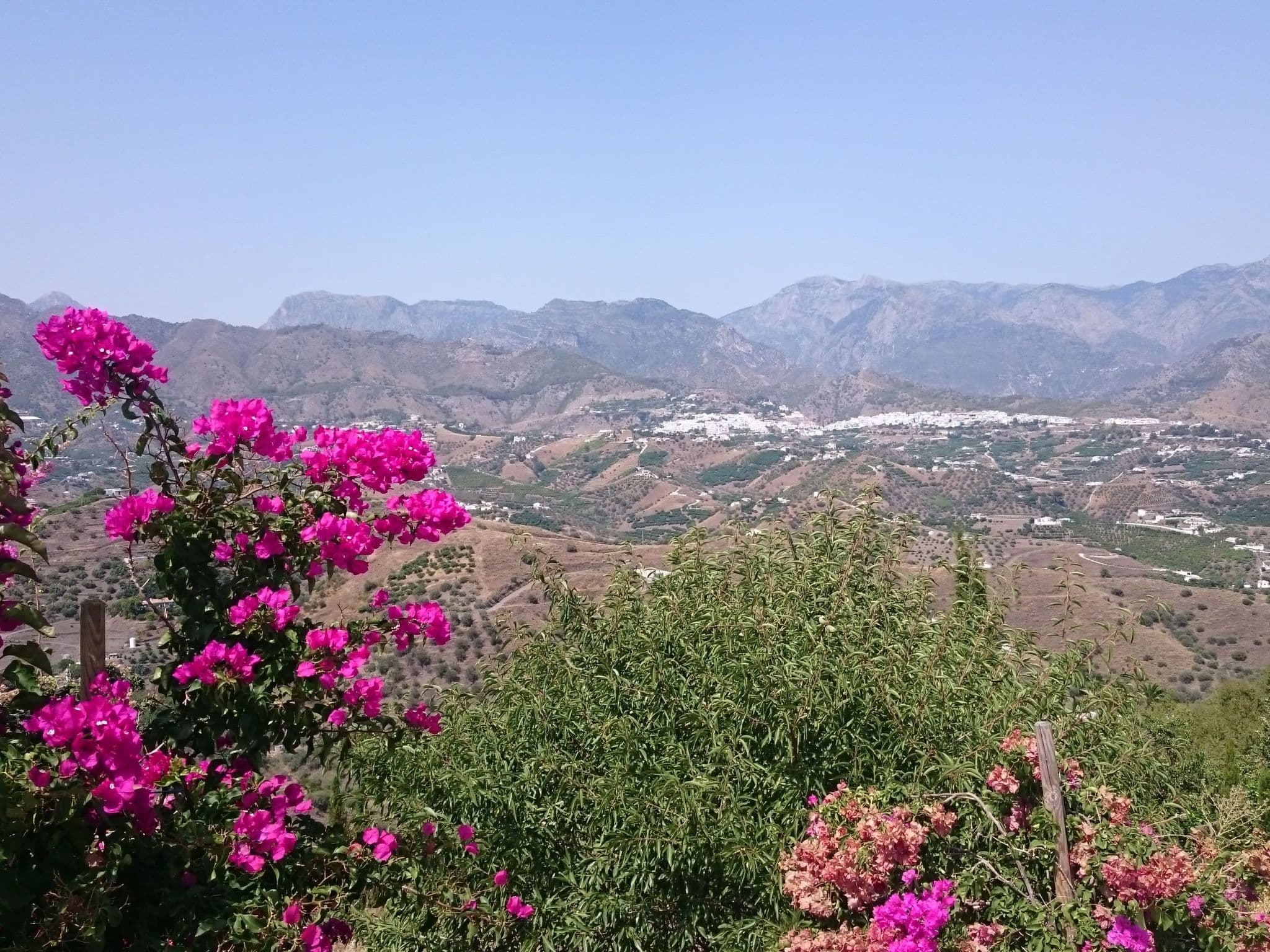 View