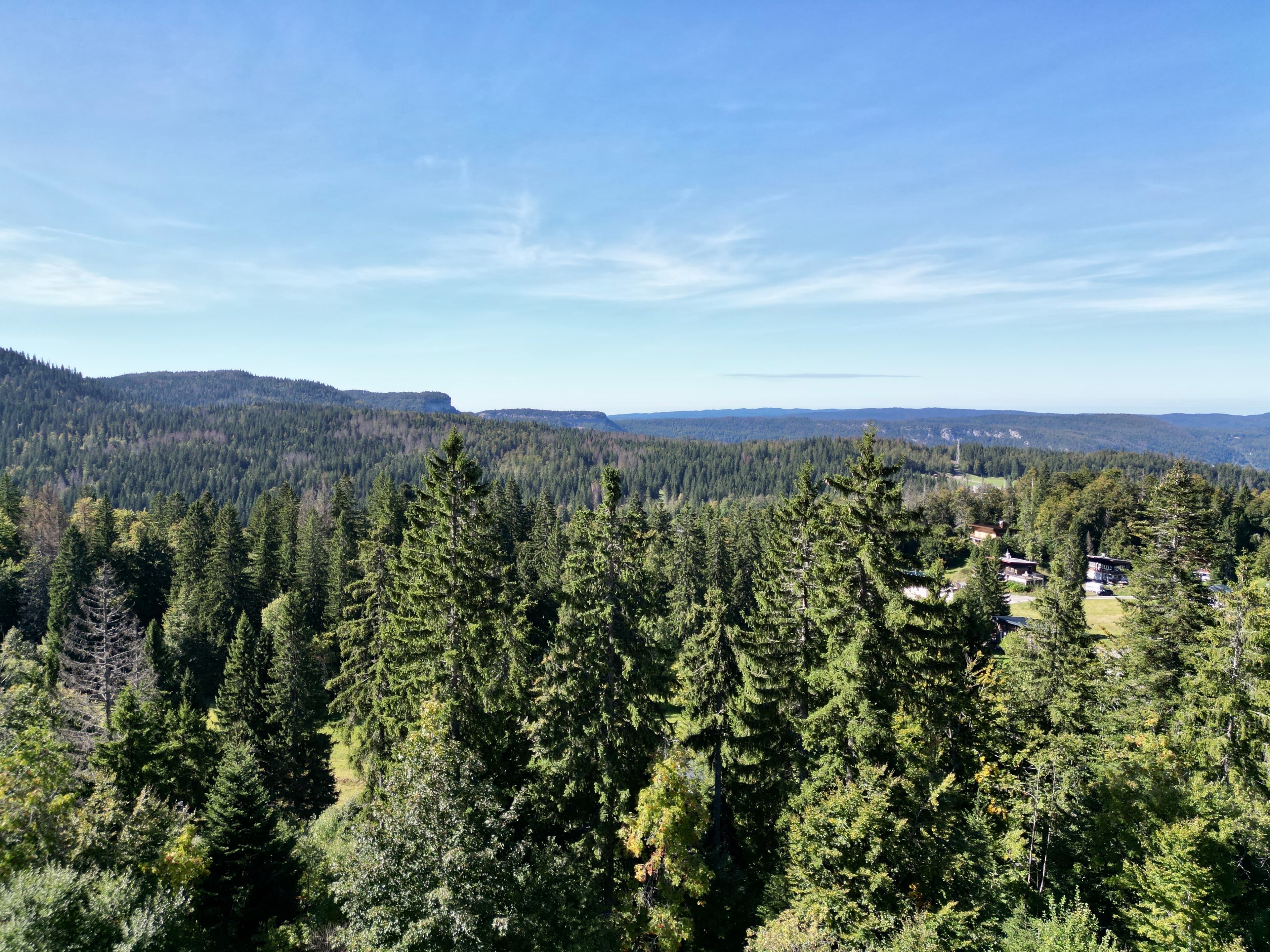 La vue