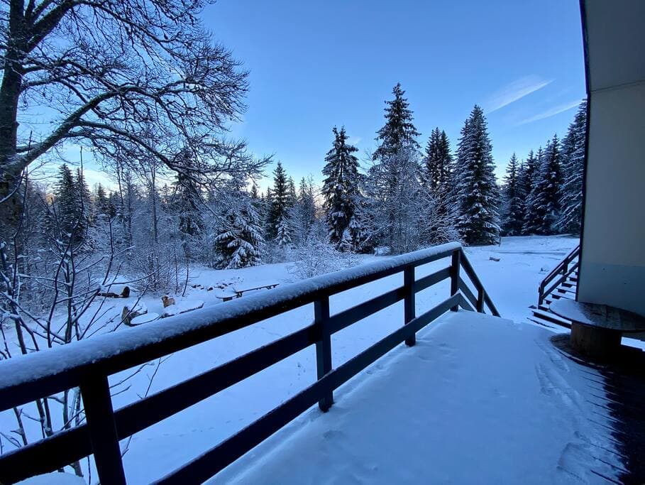Chalet rustique les jouvencelles