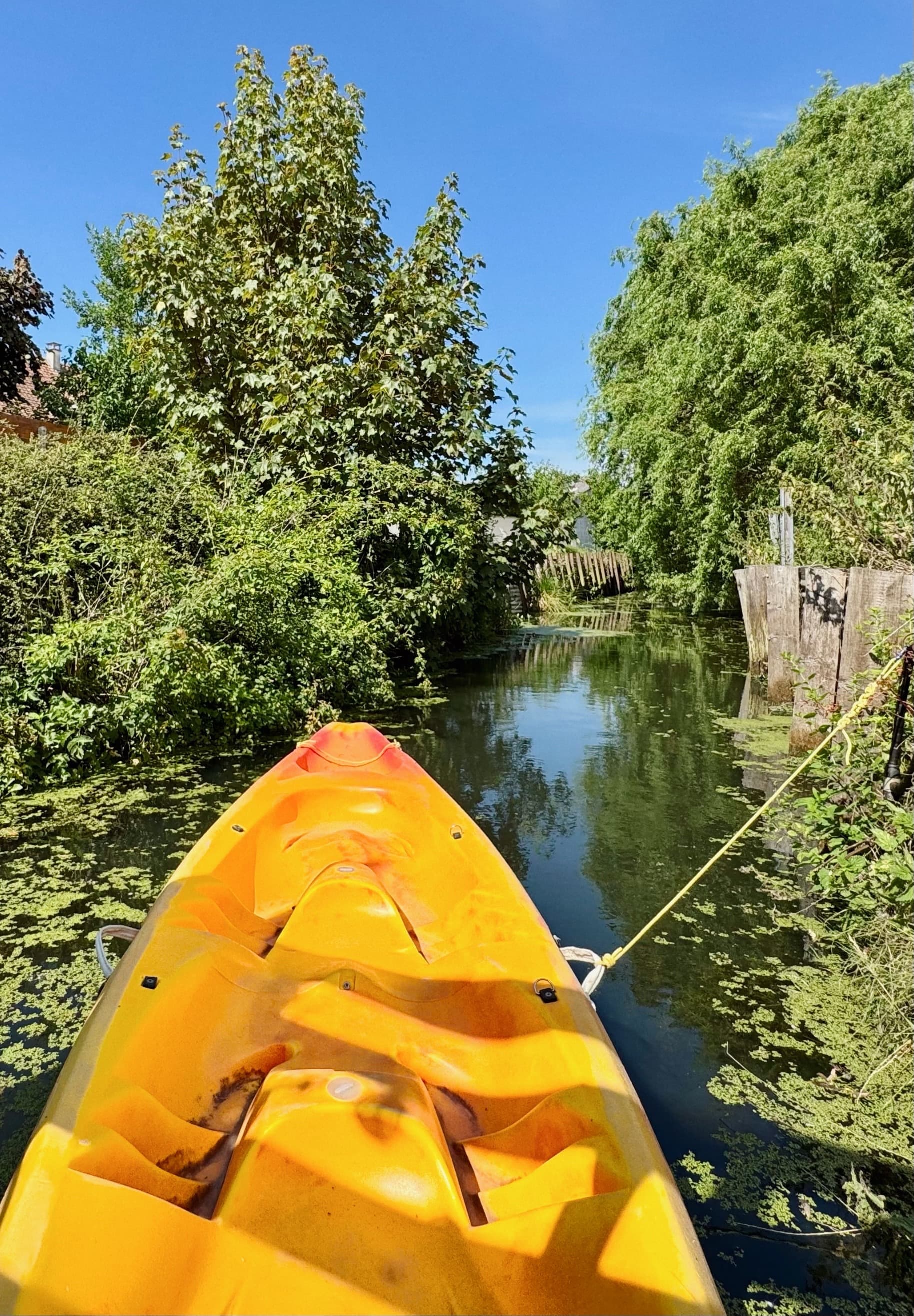 Accès direct aux marais de l'Audomarois
