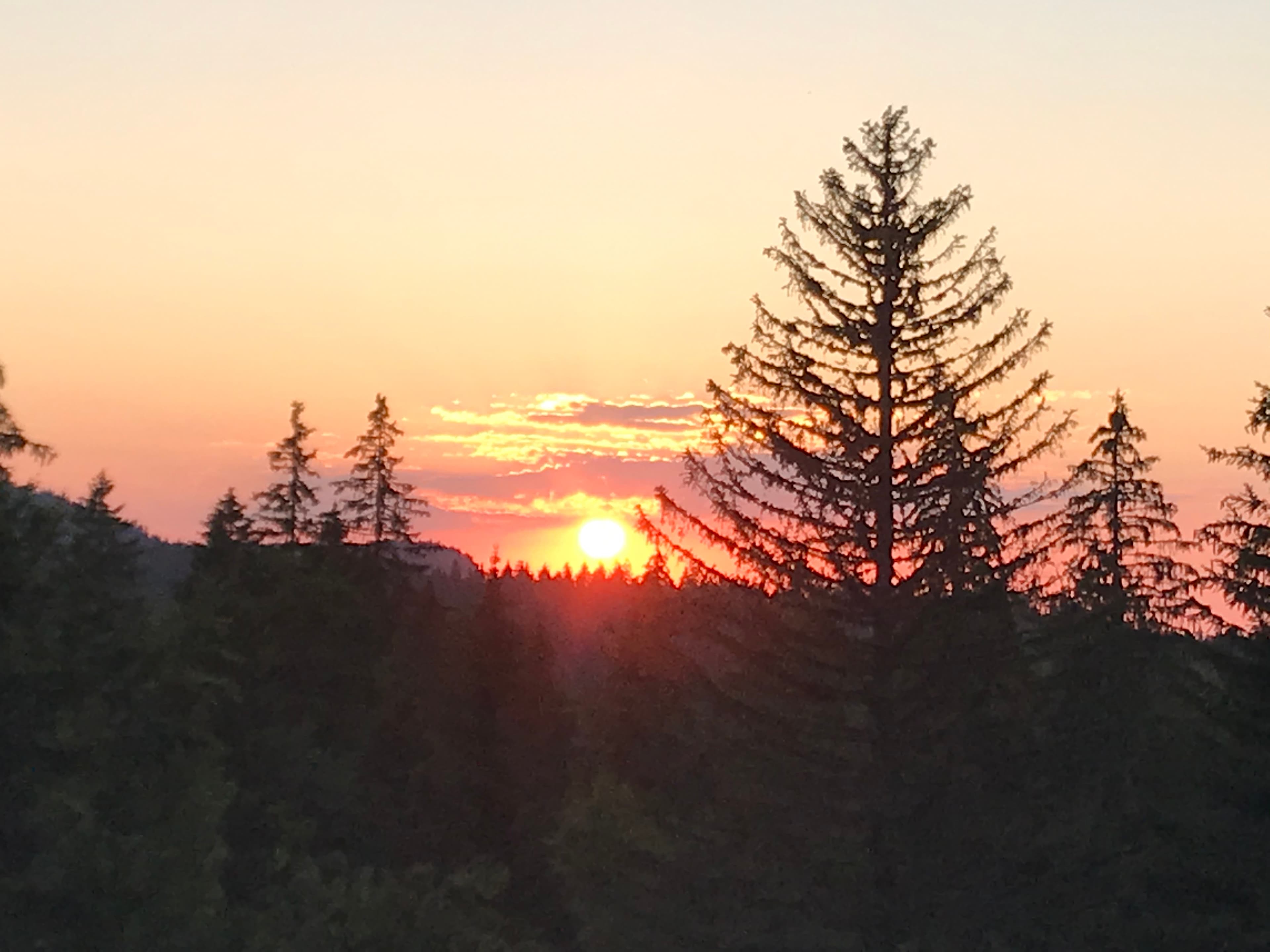 Coucher sur forêt
