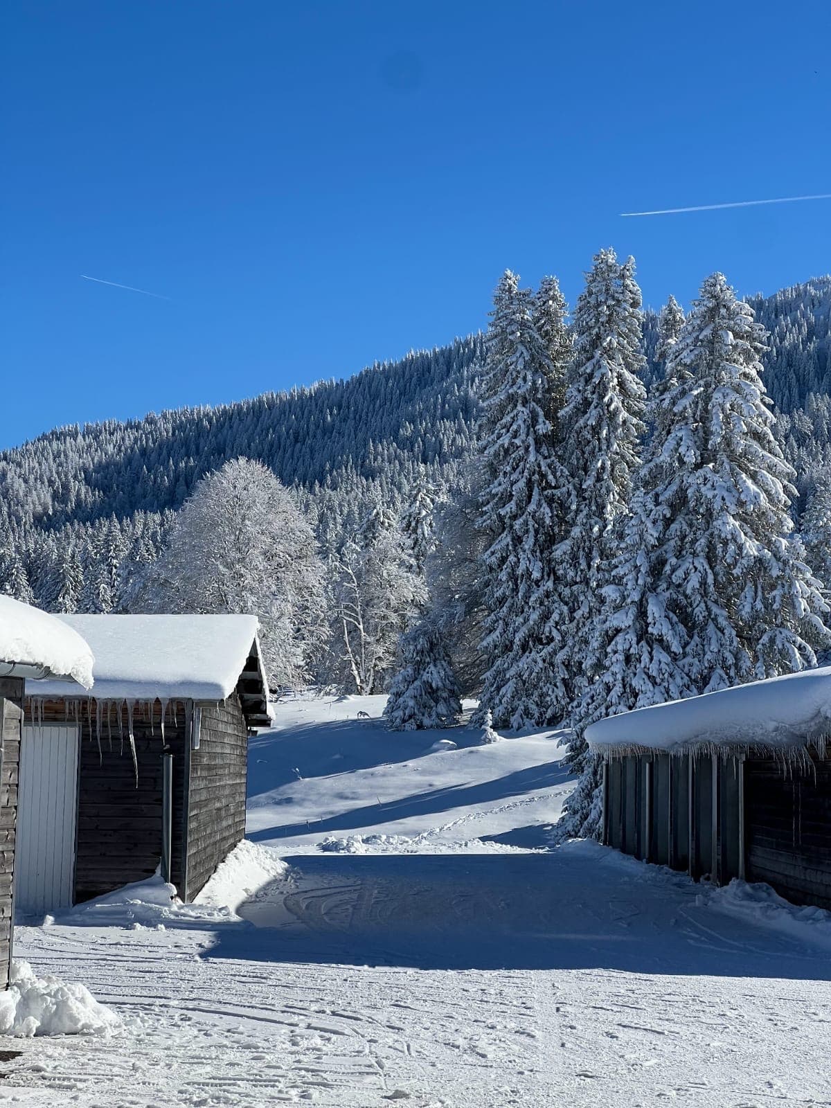 Les paysages hivernaux