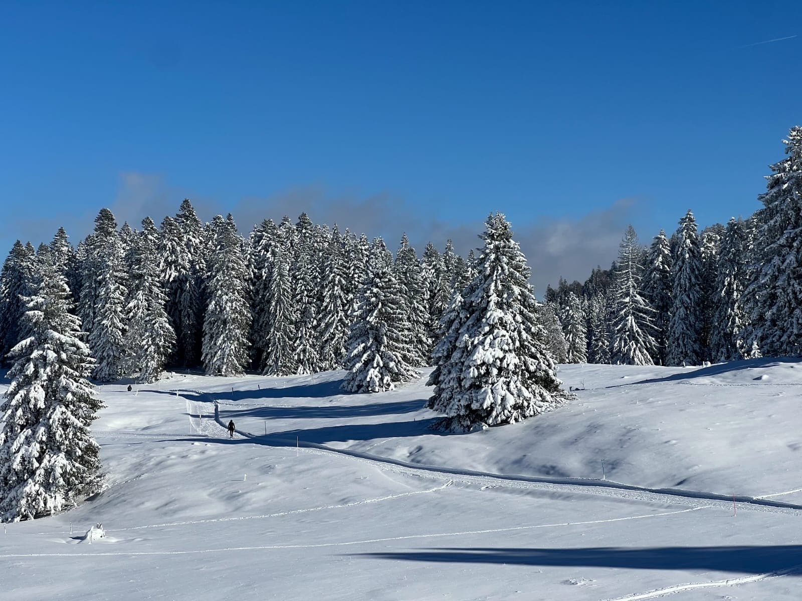 Les paysages hivernaux