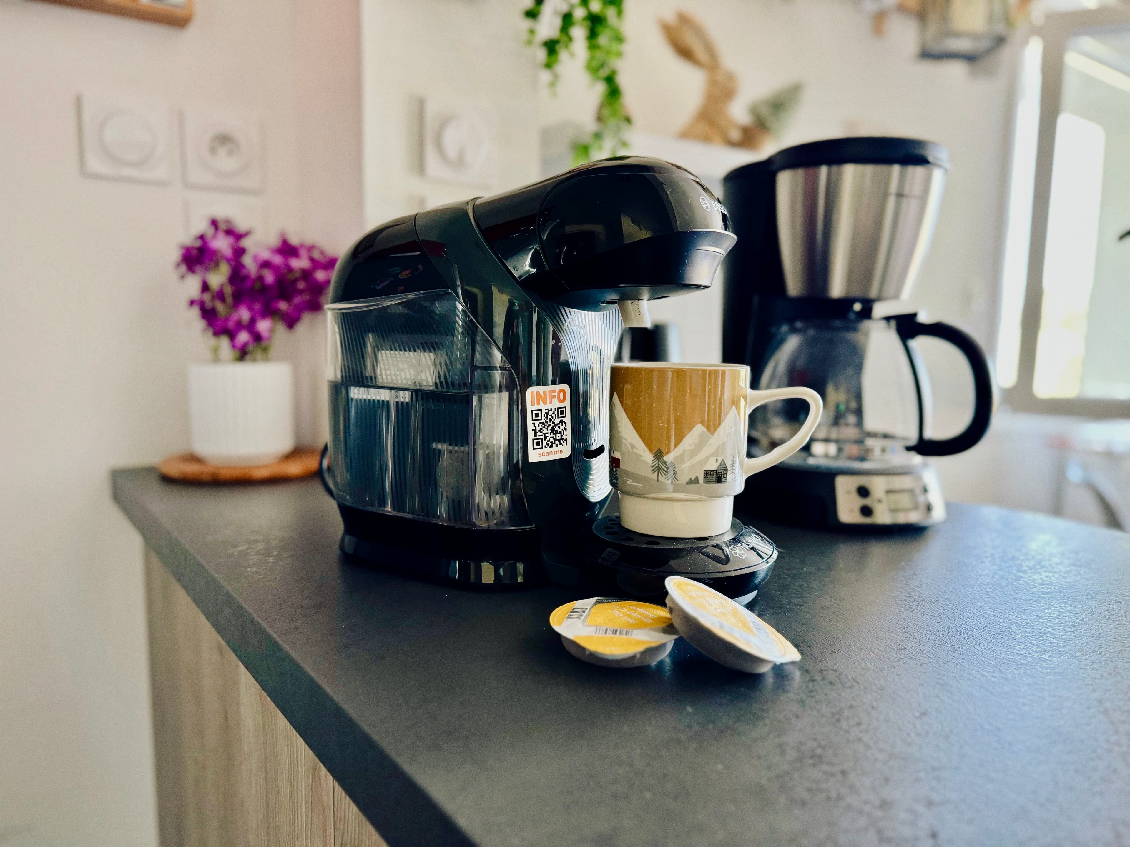 Cafetière Tassimo et cafetière à filtre disponible dans le logement