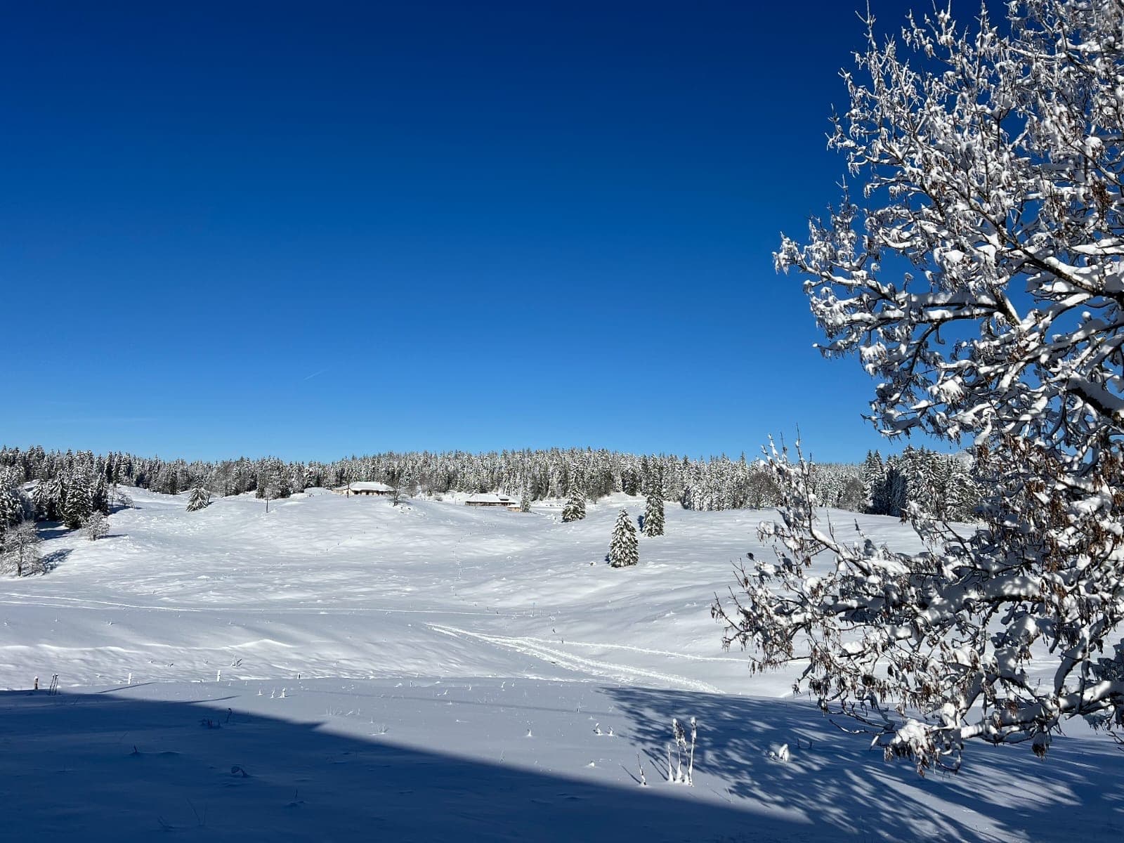 Les paysages hivernaux