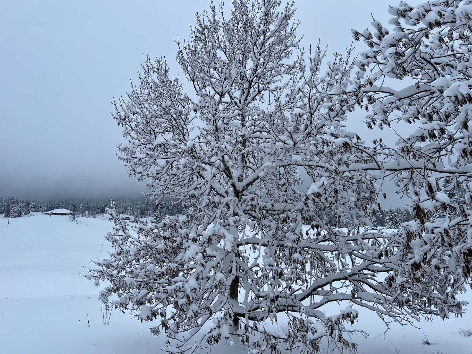 Les paysages hivernaux