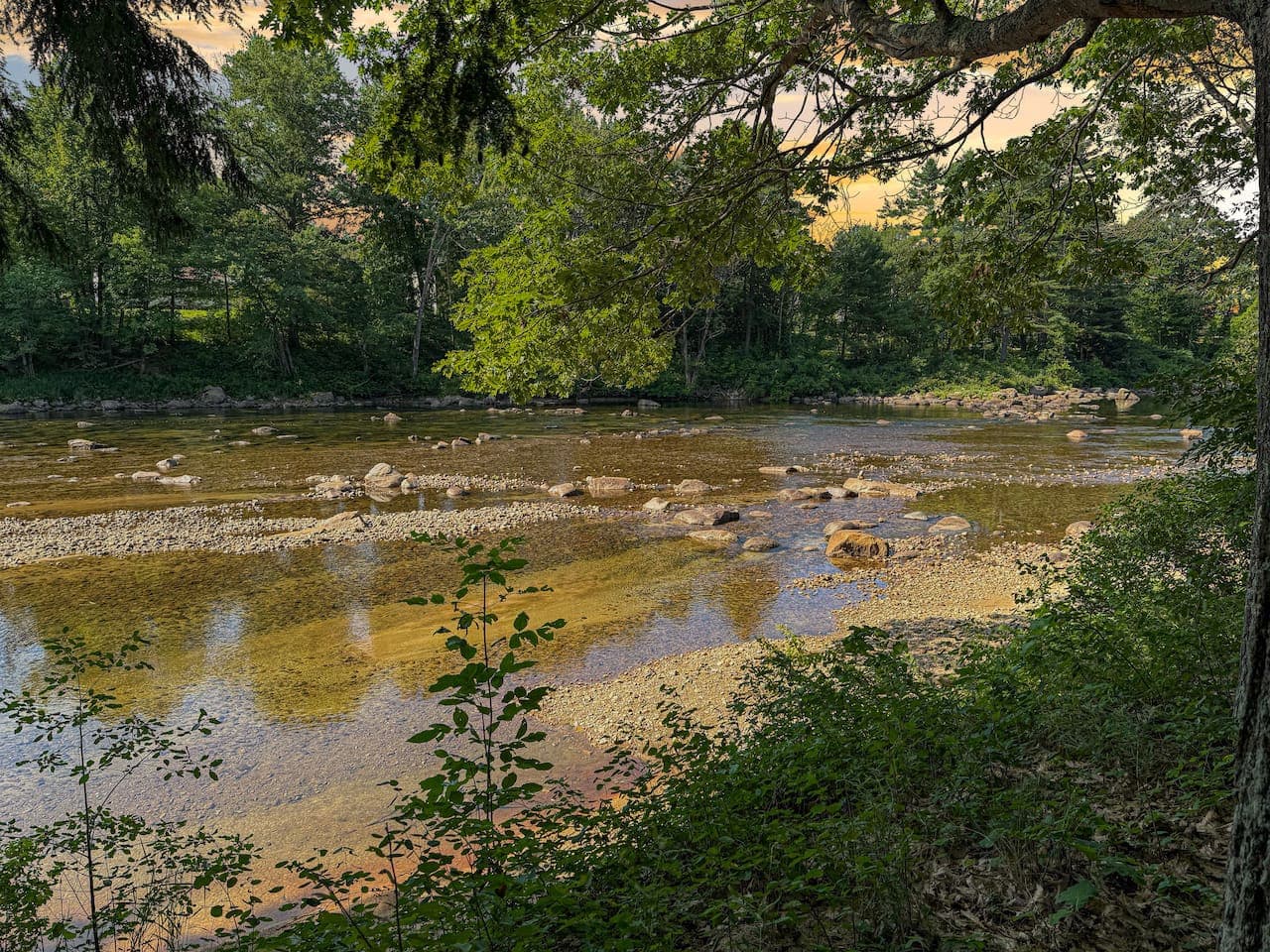 Gallery Image 56
