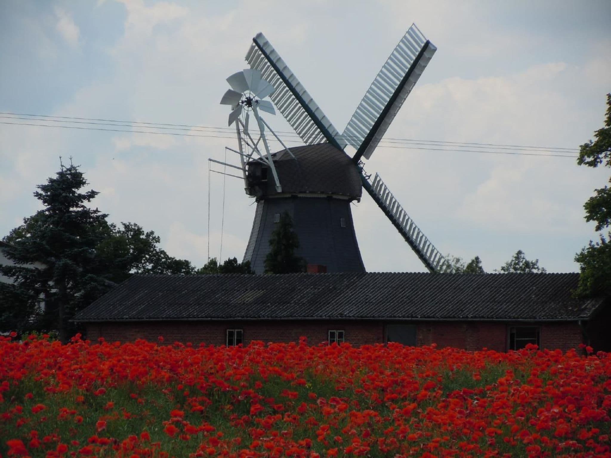 Gallery Image 28