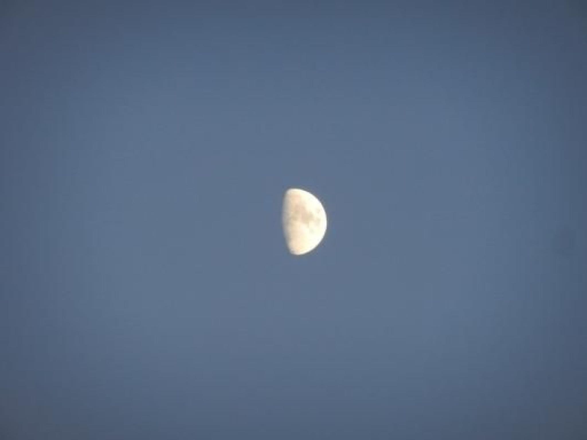 Gallery Image 21