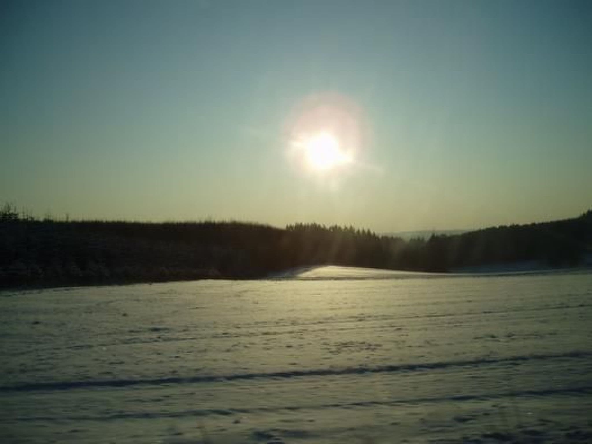 Gallery Image 20